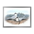 thumbnail image 1 of Designart 'Ancient Birds In The Wild IX' Traditional Framed Art Print, 1 of 4