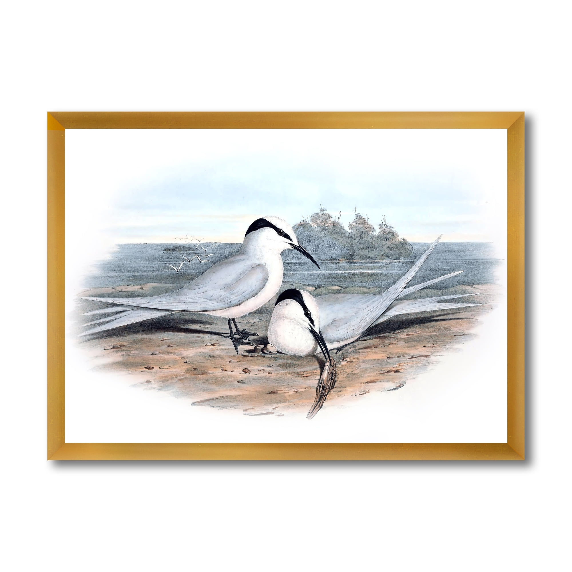 Designart 'Ancient Birds In The Wild IX' Traditional Framed Art Print