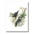 thumbnail image 1 of Designart ' Ancient Birds In The Wild V ' Traditional Canvas Wall Art Print, 1 of 4