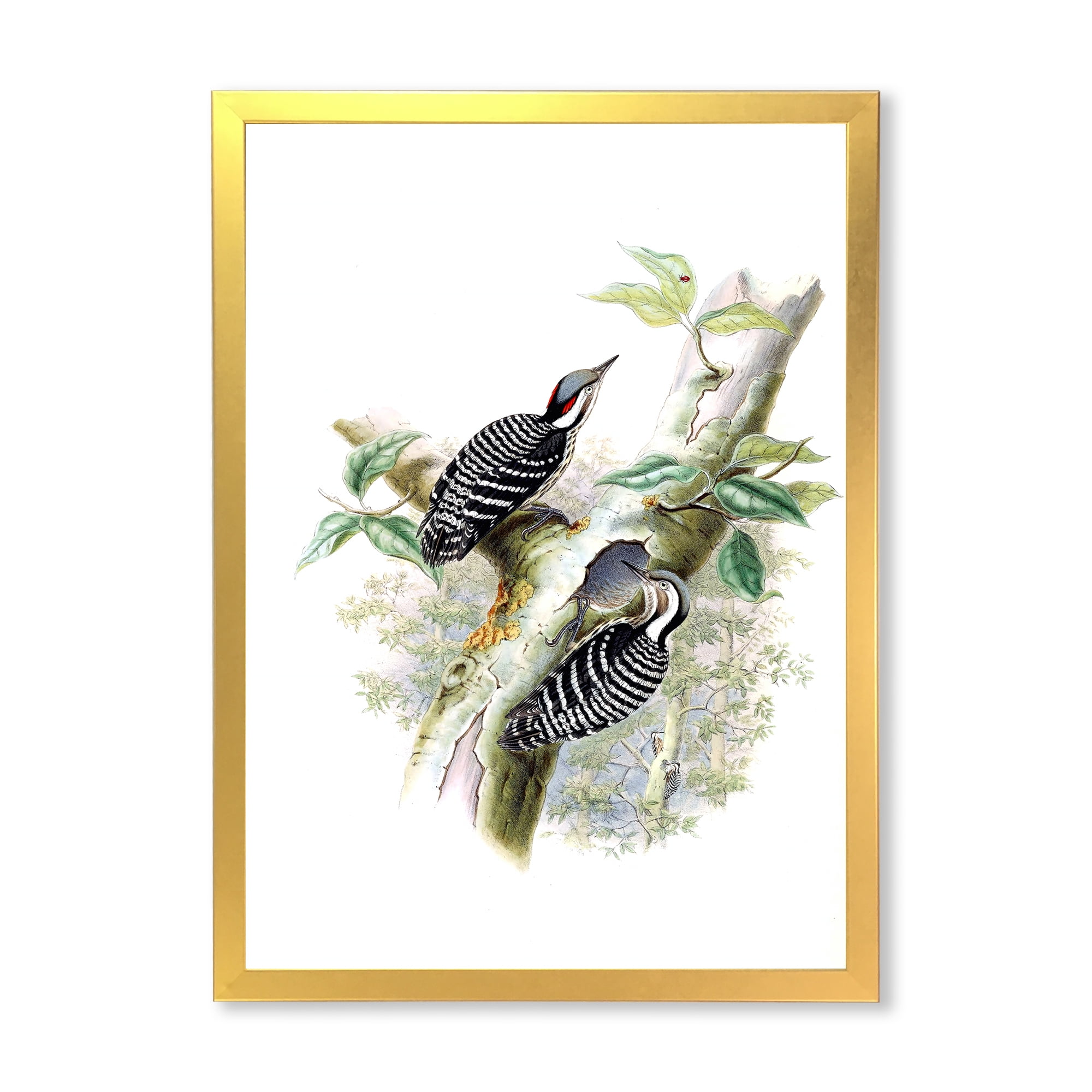 Designart 'Ancient Birds In The Wild V' Traditional Framed Art Print