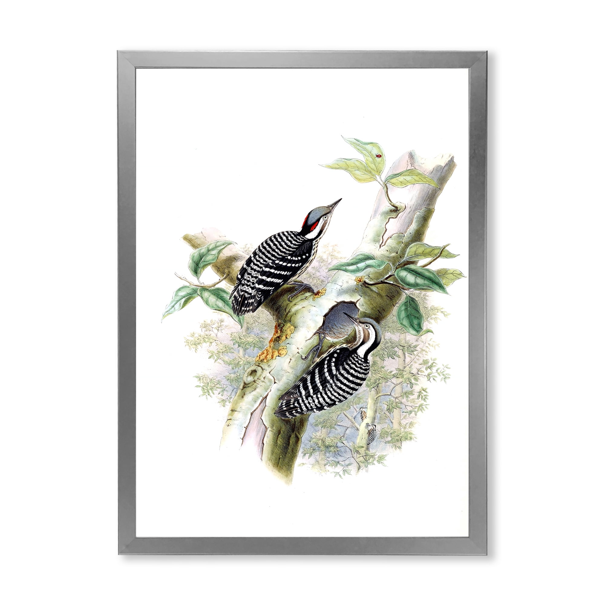 Designart 'Ancient Birds In The Wild V' Traditional Framed Art Print