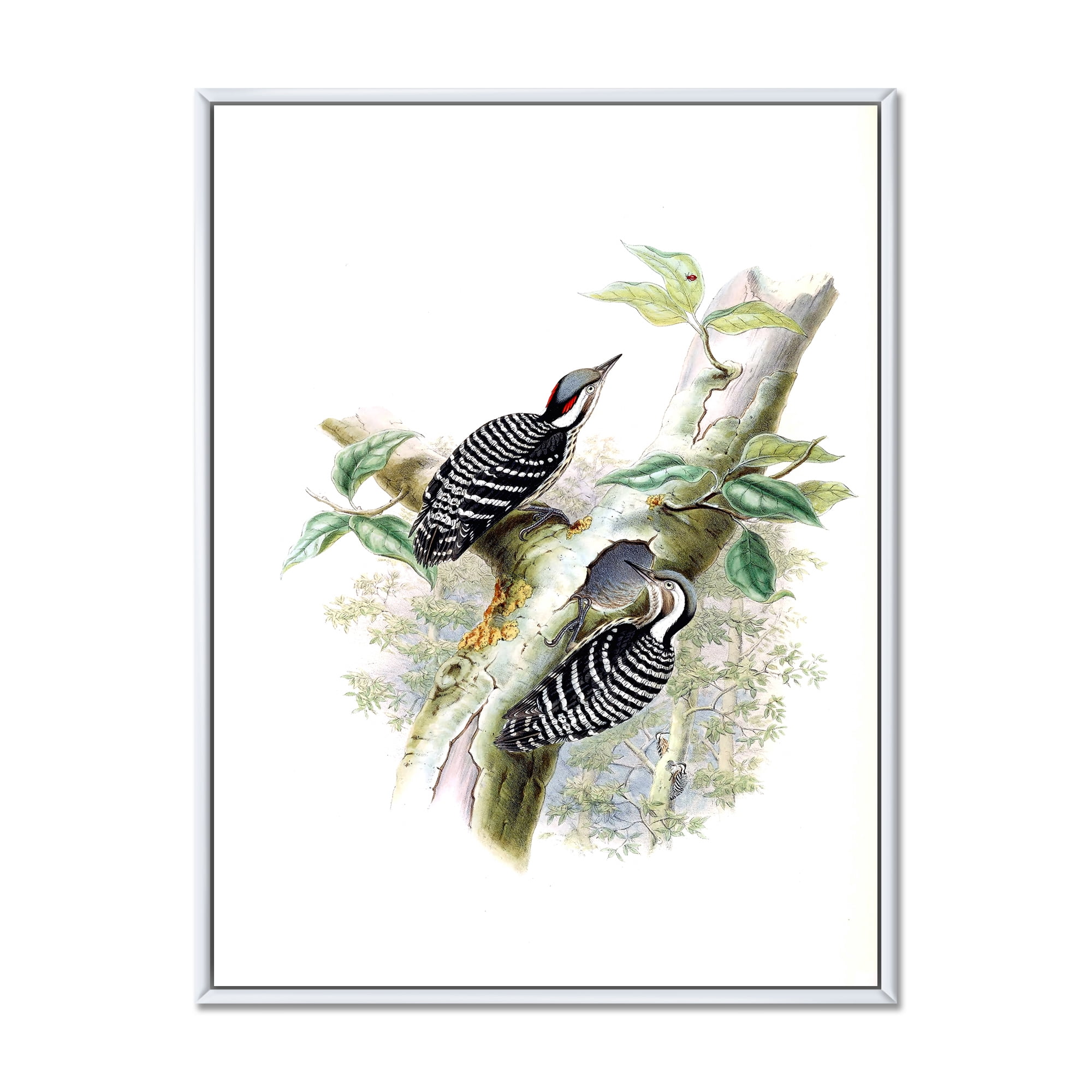 Designart 'Ancient Birds In The Wild V' Traditional Framed Canvas Wall Art Print