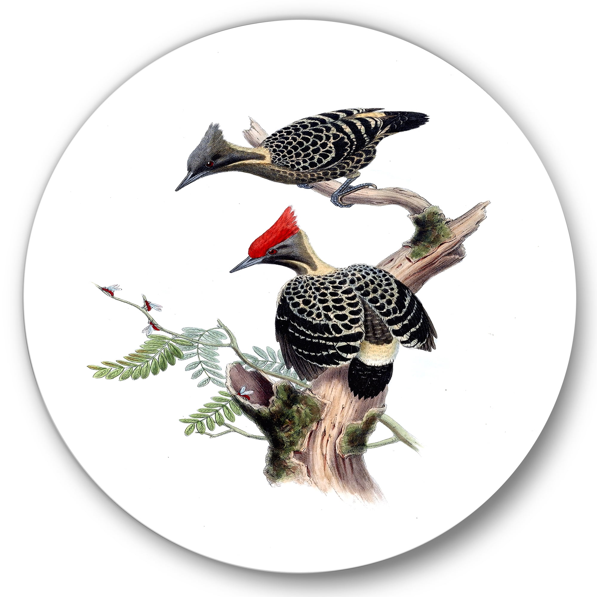 Designart 'Ancient Birds In The Wild VI' Traditional Circle Metal Wall Art 29x29 - Disc of 29