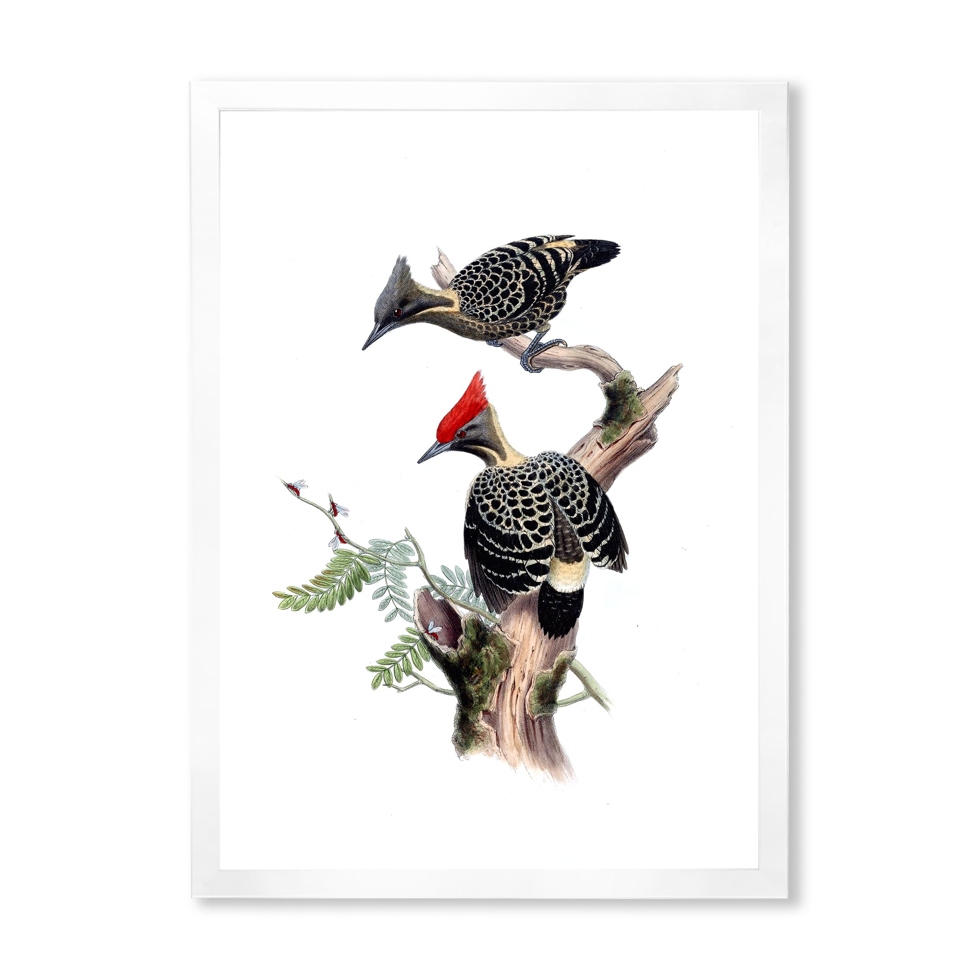 Designart 'Ancient Birds In The Wild VI' Traditional Framed Art Print