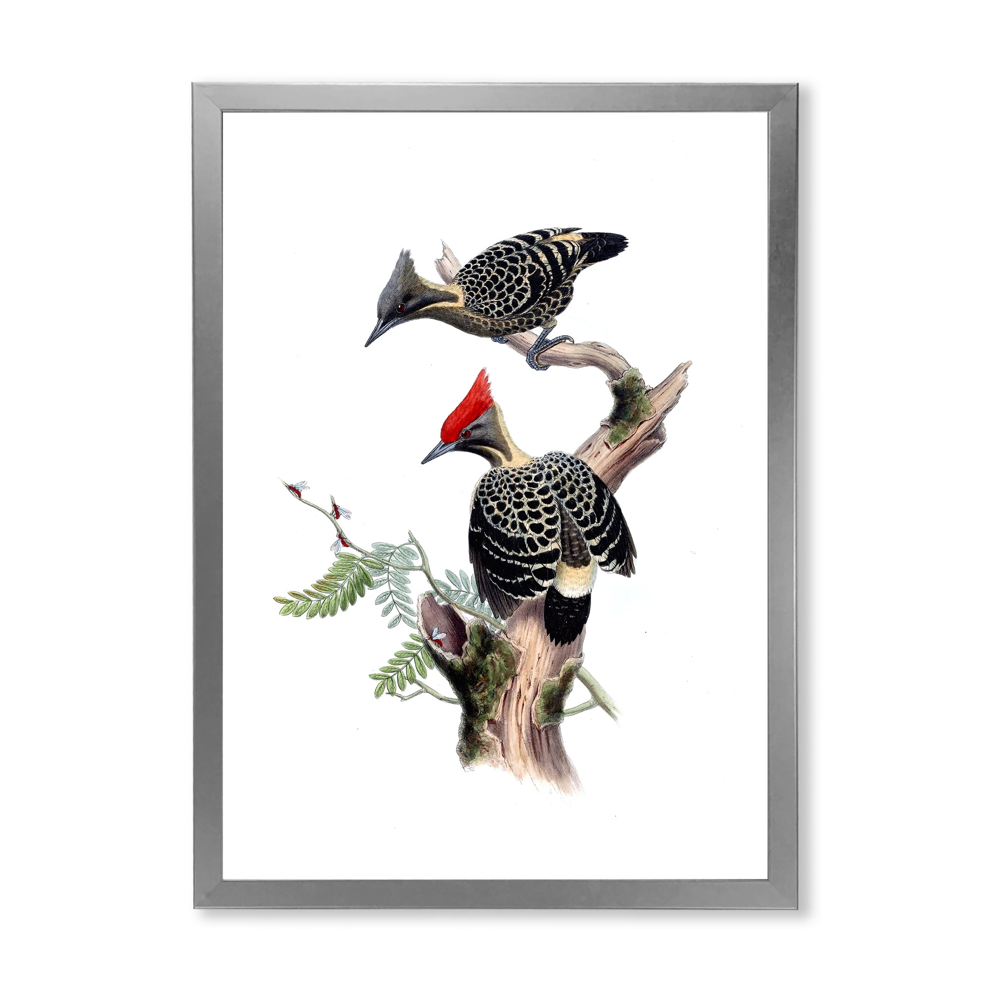 Designart 'Ancient Birds In The Wild VI' Traditional Framed Art Print