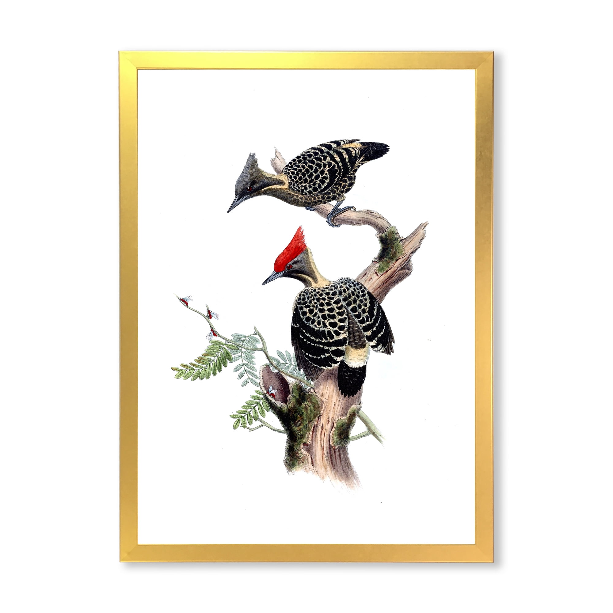 Designart 'Ancient Birds In The Wild VI' Traditional Framed Art Print