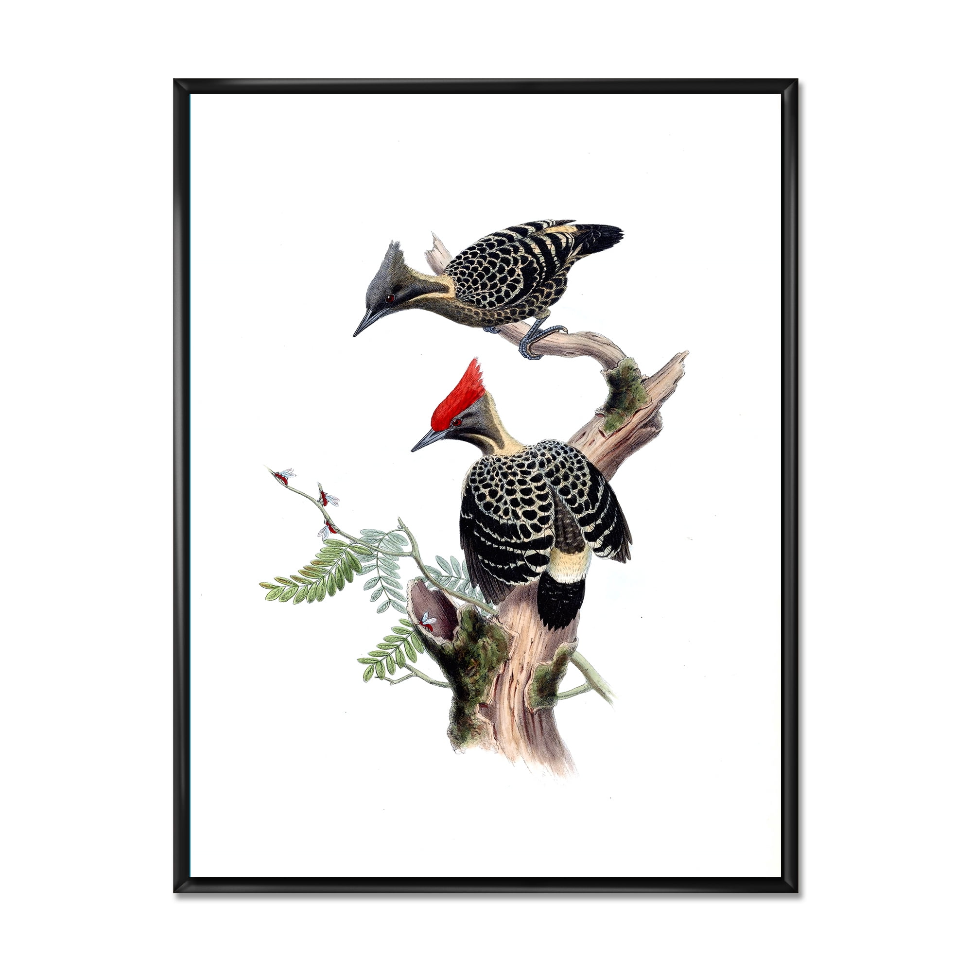 Designart 'Ancient Birds In The Wild VI' Traditional Framed Canvas Wall Art Print