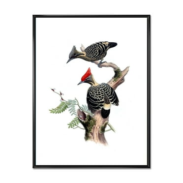 Designart 'Ancient Birds In The Wild VI' Traditional Framed Canvas Wall Art Print