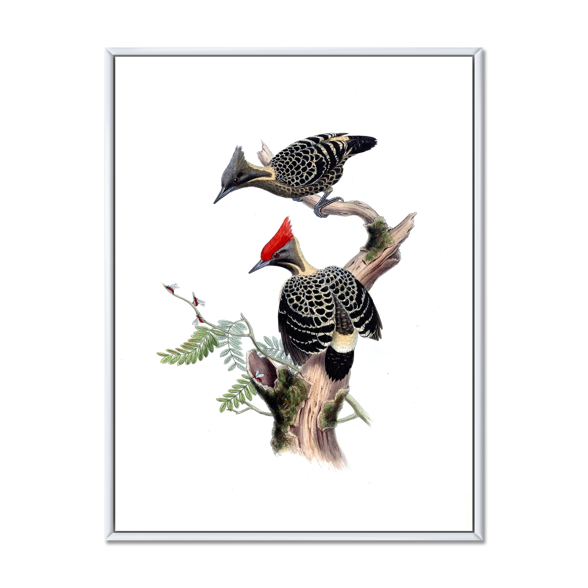 Designart 'Ancient Birds In The Wild VI' Traditional Framed Canvas Wall Art Print
