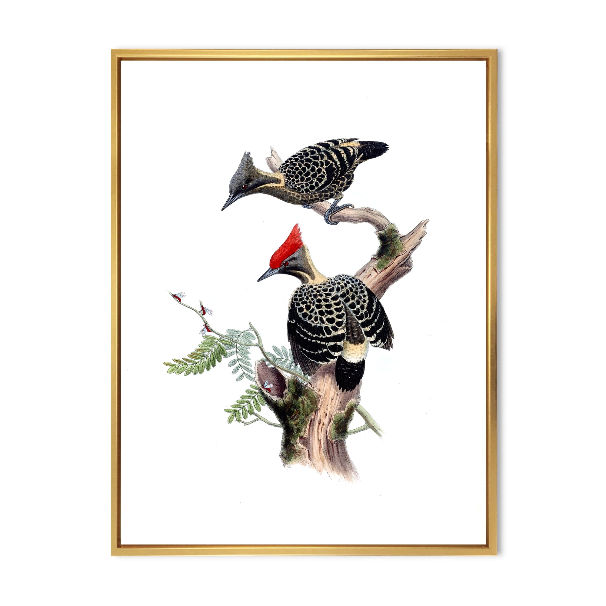 Traditional Gold Framed Canvas Print with Birds, 12 x 20 Inches