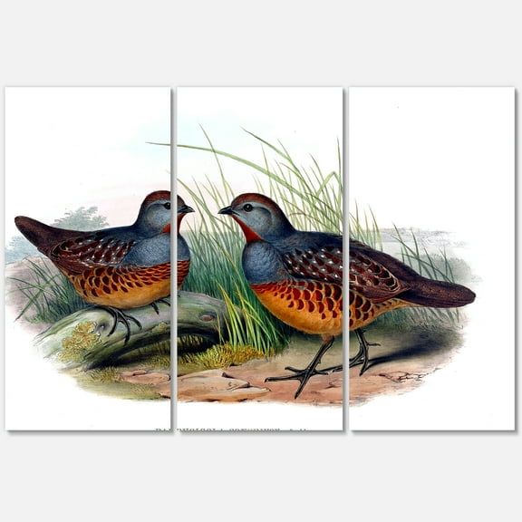 Designart ' Ancient Birds In The Wild VII ' Traditional Canvas Wall Art Print