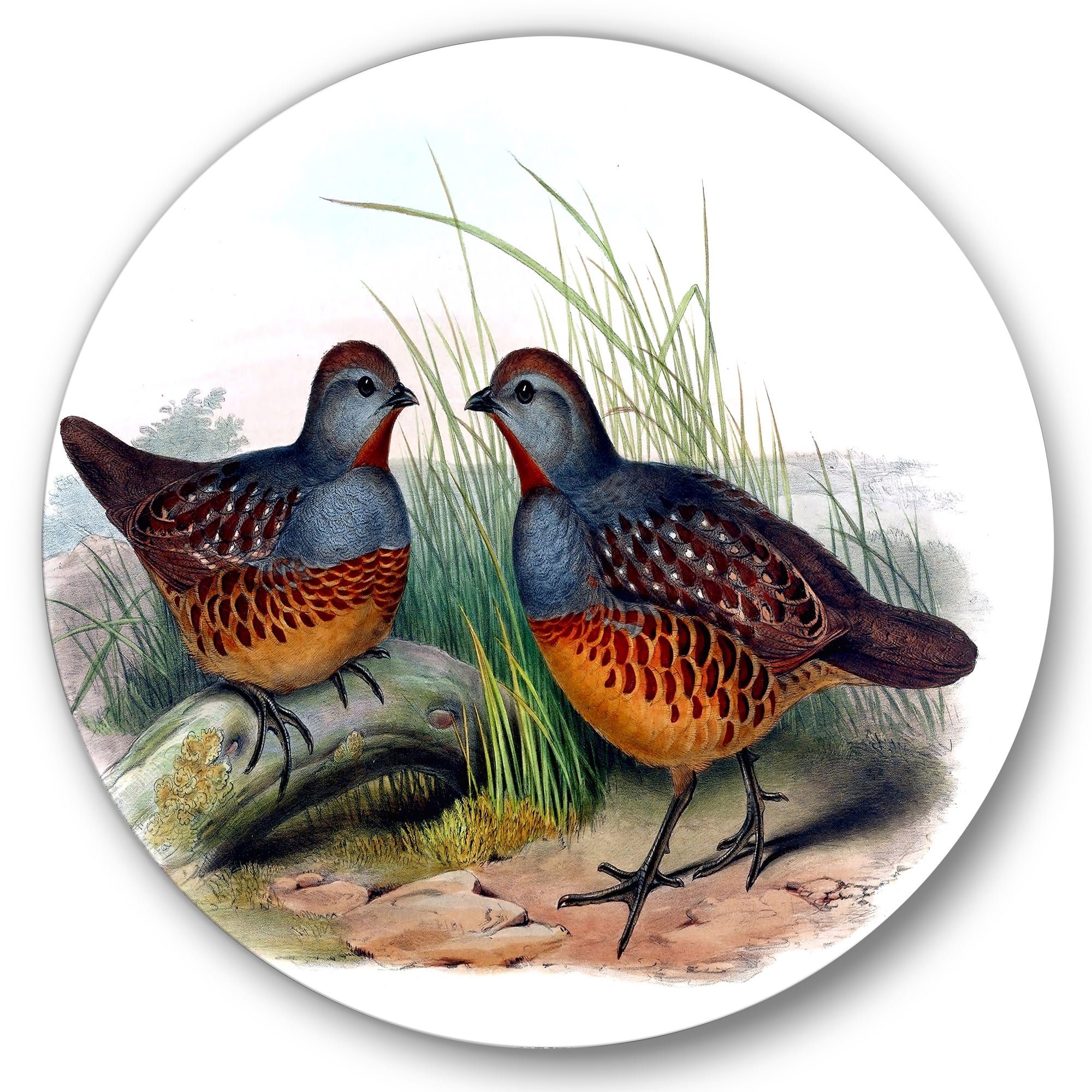 Designart 'Ancient Birds In The Wild VII' Traditional Circle Metal Wall Art 29x29 - Disc of 29
