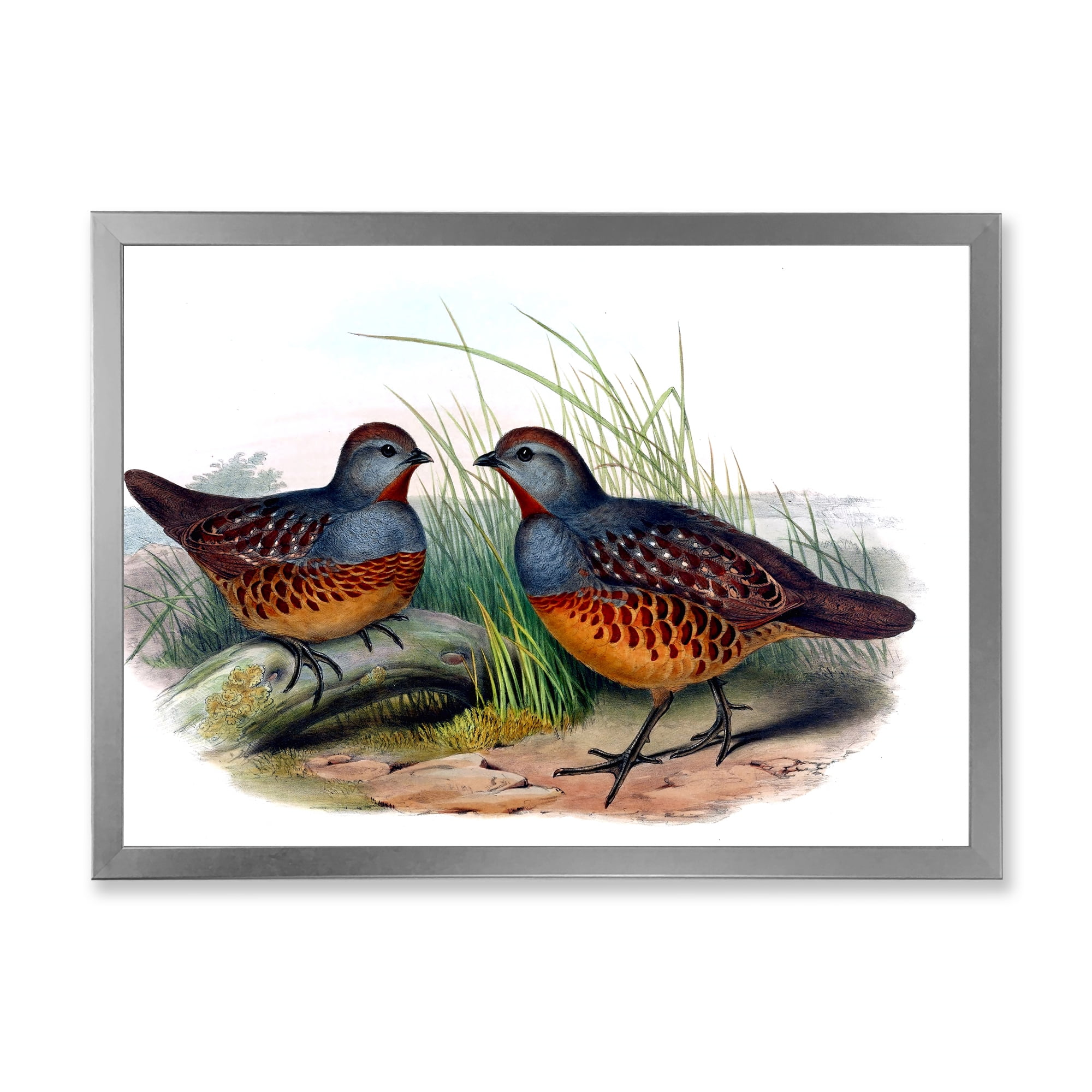Designart 'Ancient Birds In The Wild VII' Traditional Framed Art Print