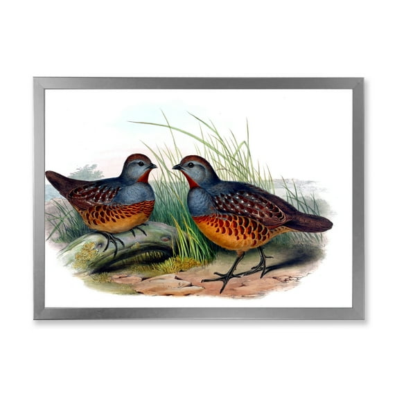 Designart 'Ancient Birds In The Wild VII' Traditional Framed Art Print