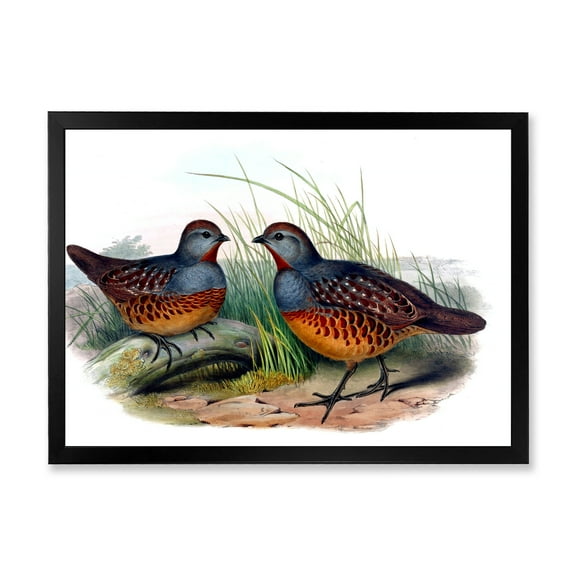 Designart 'Ancient Birds In The Wild VII' Traditional Framed Art Print