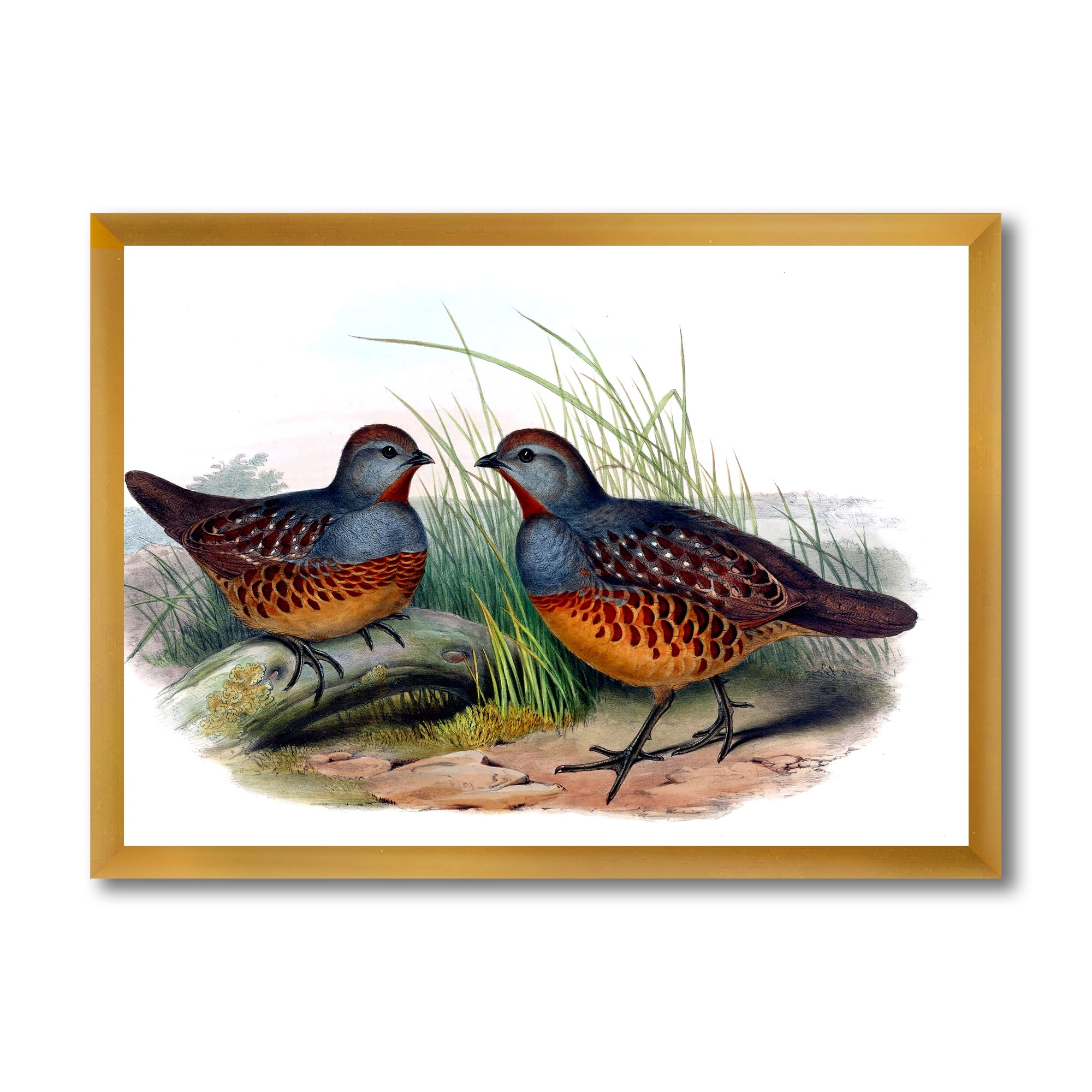Designart 'Ancient Birds In The Wild VII' Traditional Framed Art Print