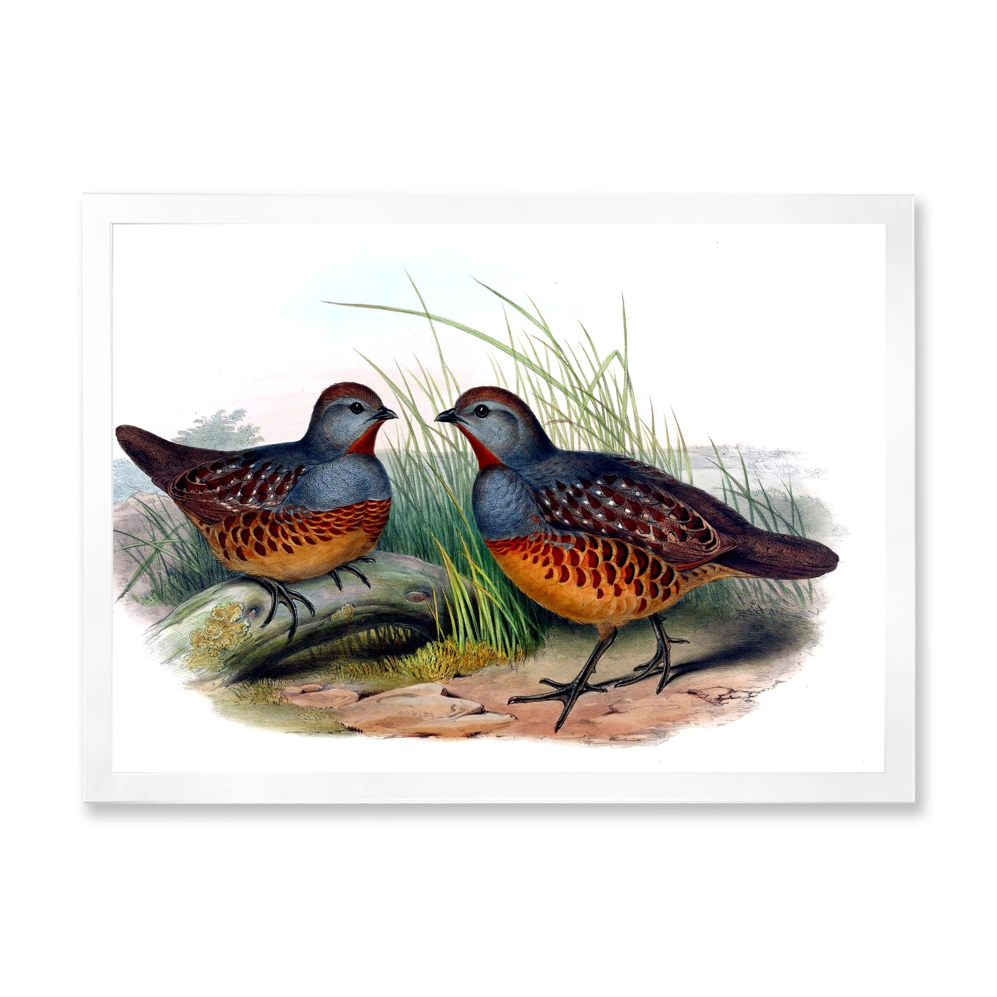 Designart 'Ancient Birds In The Wild VII' Traditional Framed Art Print