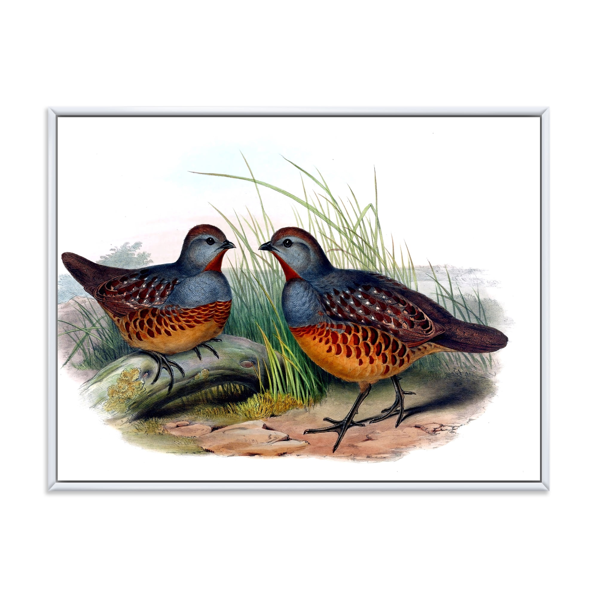 Designart 'Ancient Birds In The Wild VII' Traditional Framed Canvas Wall Art Print