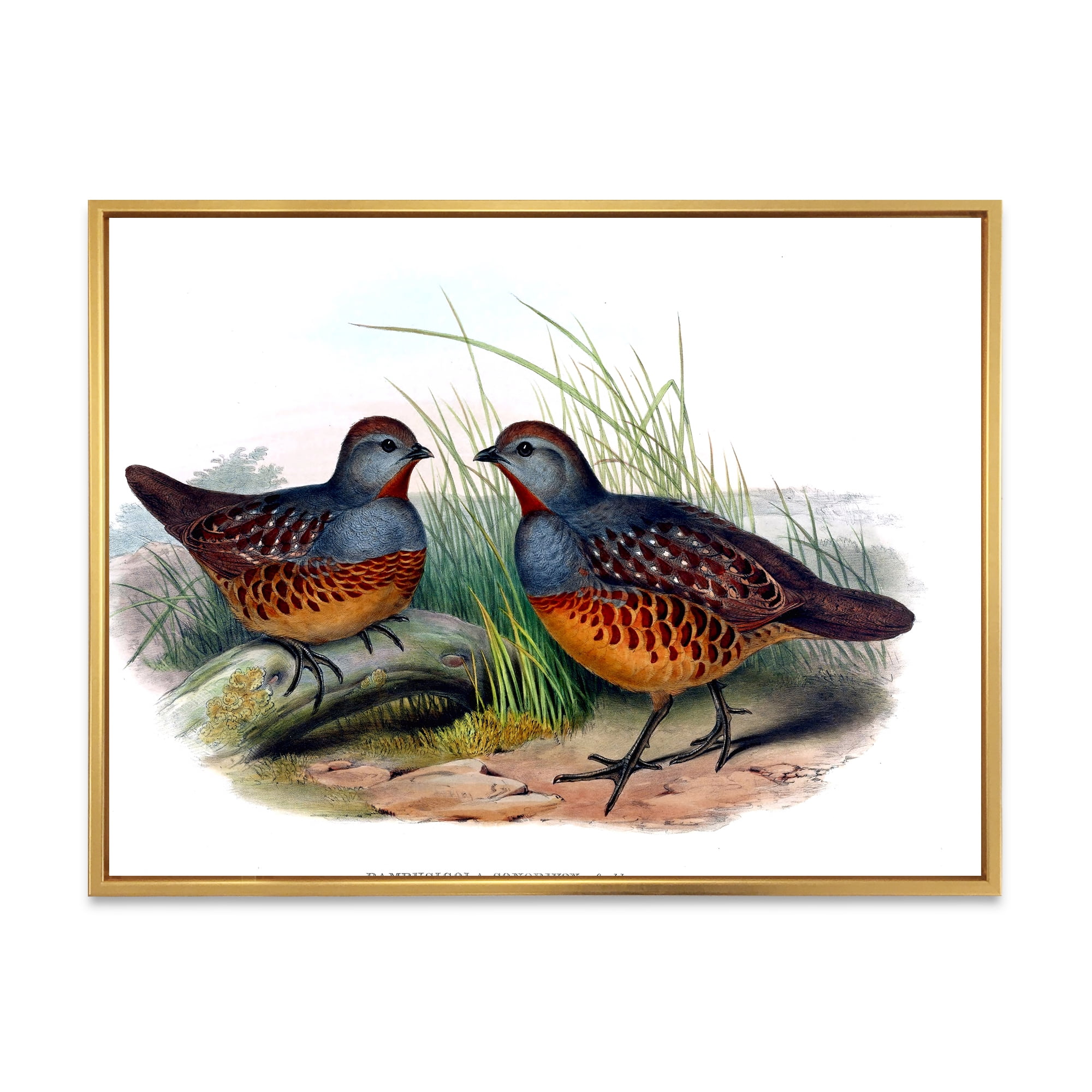 Designart 'Ancient Birds In The Wild VII' Traditional Framed Canvas Wall Art Print