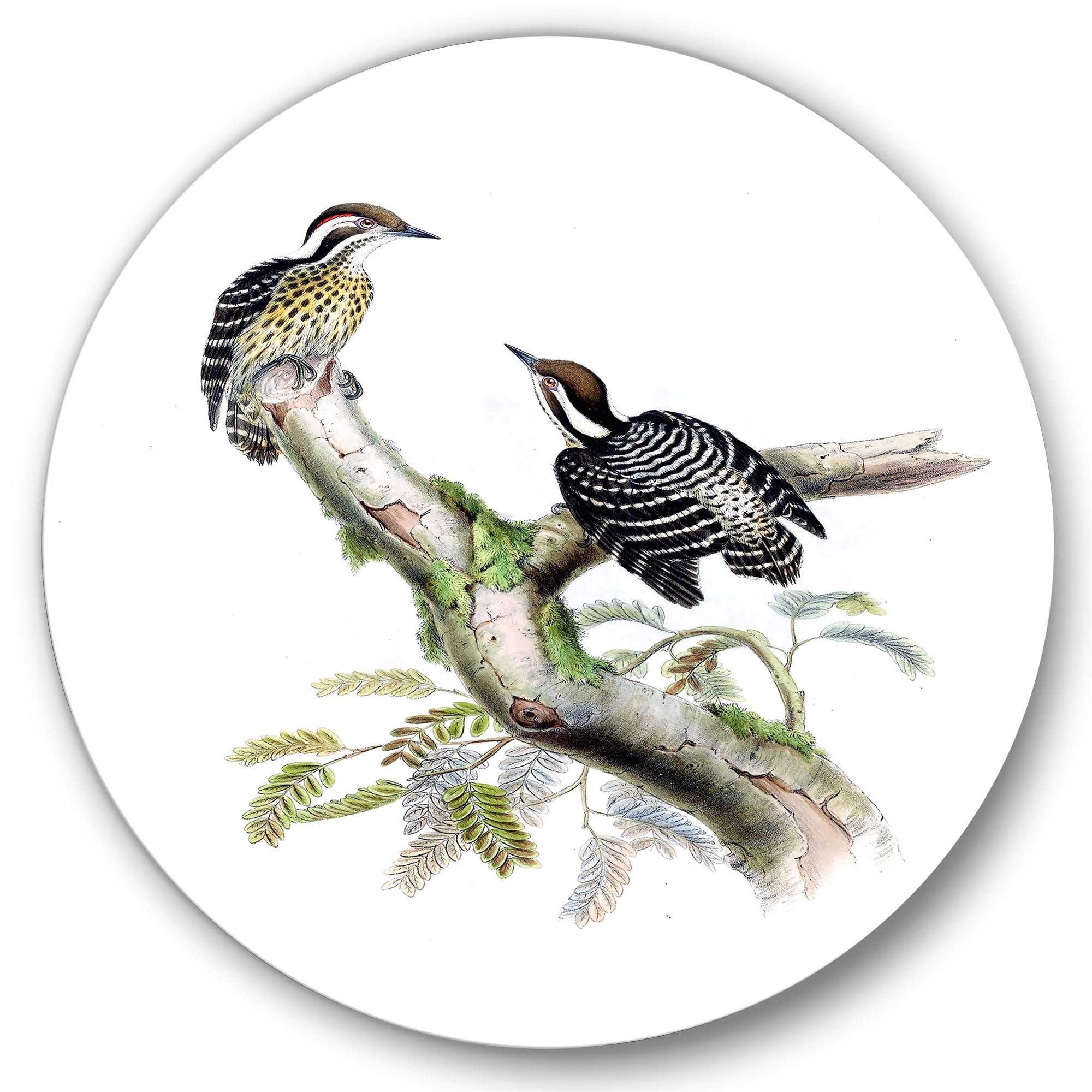 Designart 'Ancient Birds In The Wild VIII' Traditional Circle Metal Wall Art 11x11 - Disc of 11