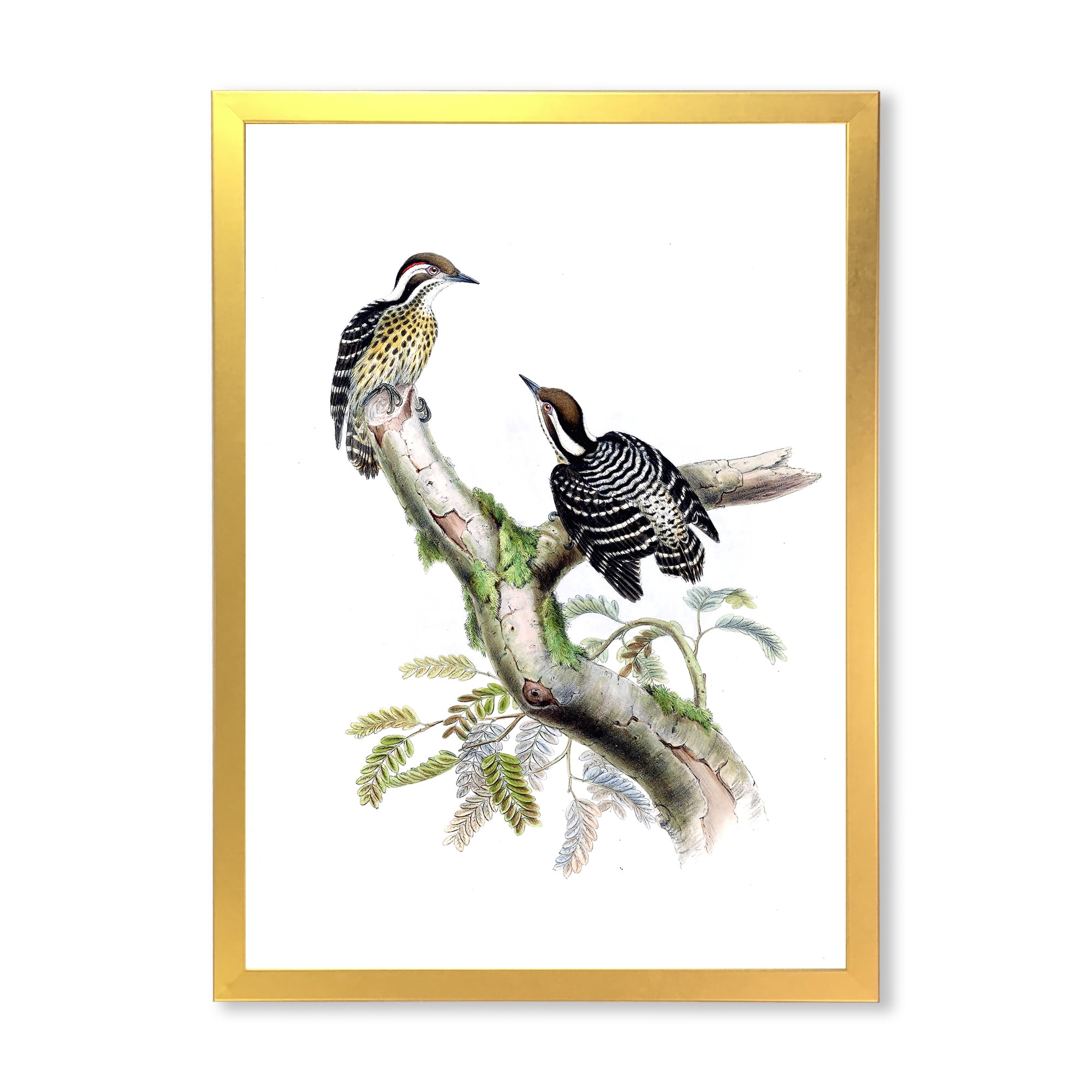 Designart 'Ancient Birds In The Wild VIII' Traditional Framed Art Print