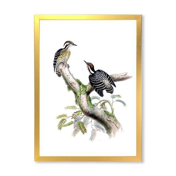 Designart 'Ancient Birds In The Wild VIII' Traditional Framed Art Print