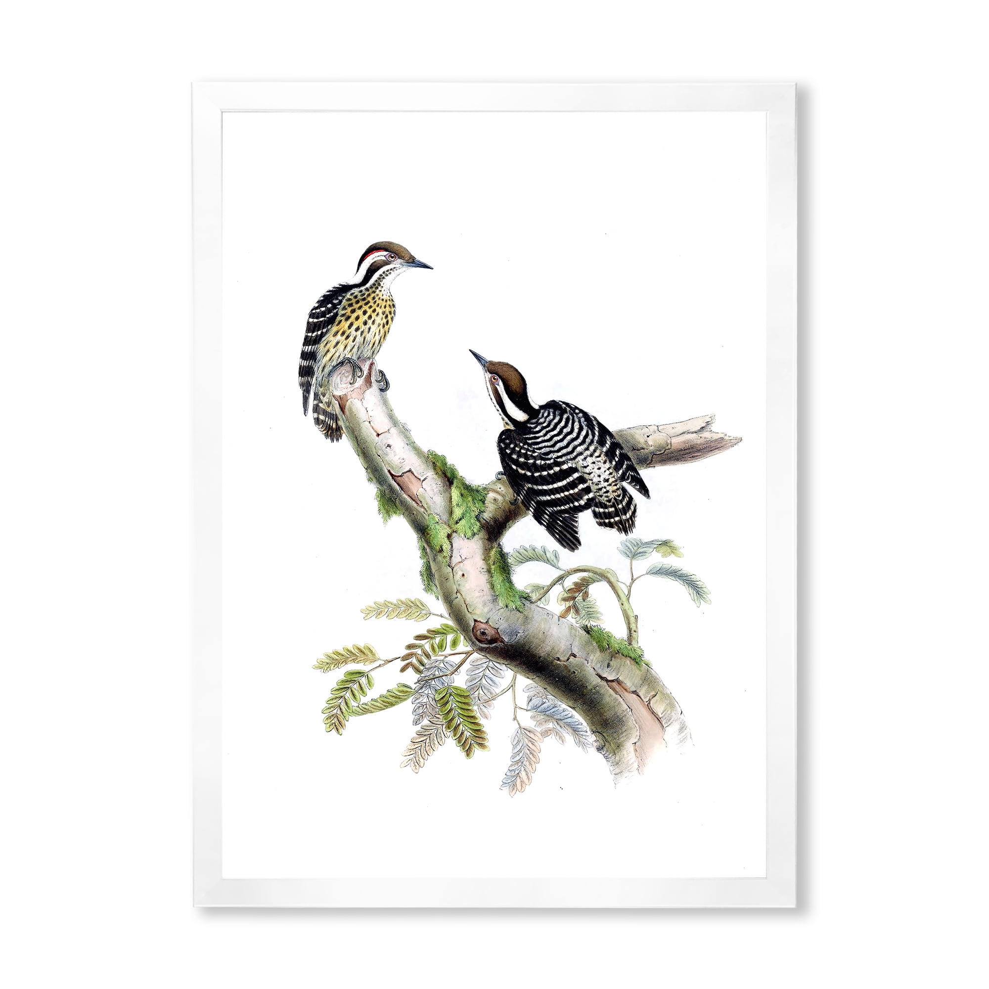 Designart 'Ancient Birds In The Wild VIII' Traditional Framed Art Print