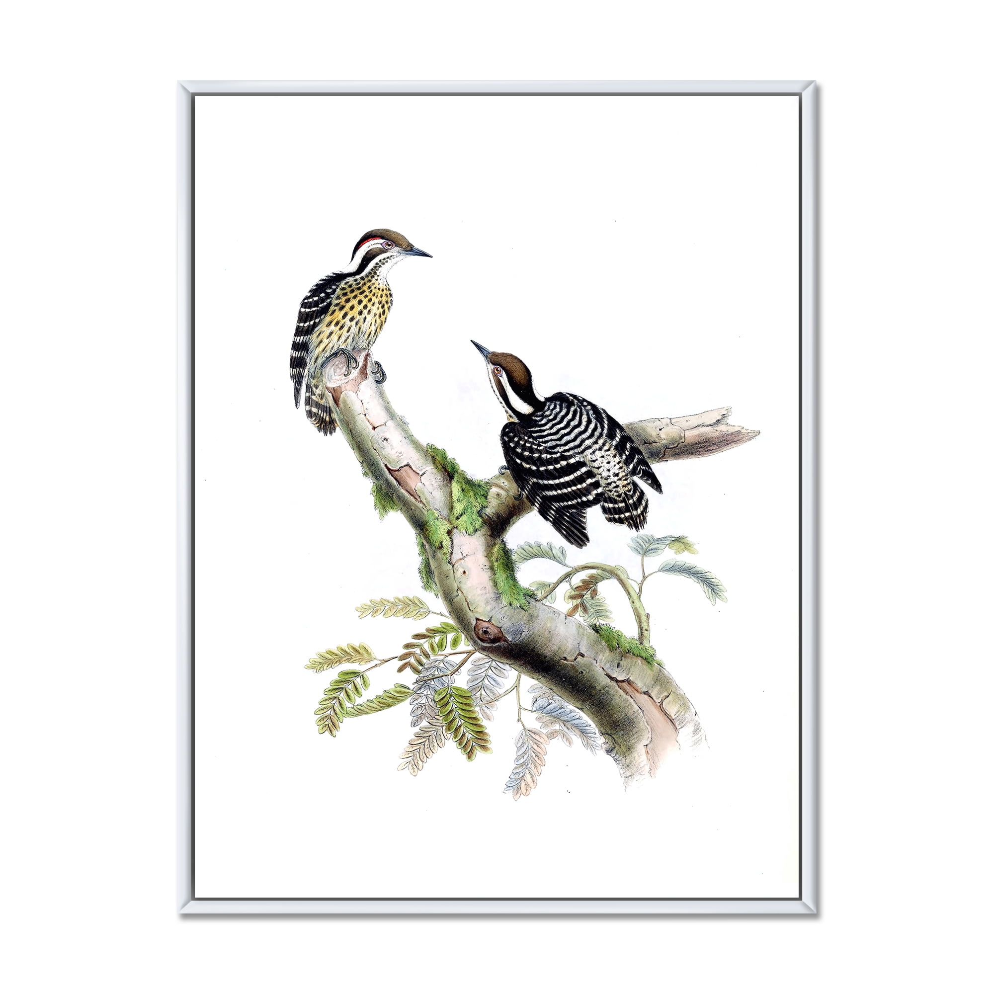 Designart 'Ancient Birds In The Wild VIII' Traditional Framed Canvas Wall Art Print