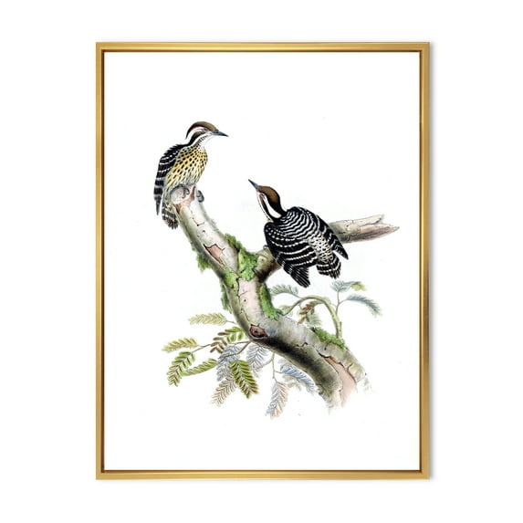 Designart 'Ancient Birds In The Wild VIII' Traditional Framed Canvas Wall Art Print