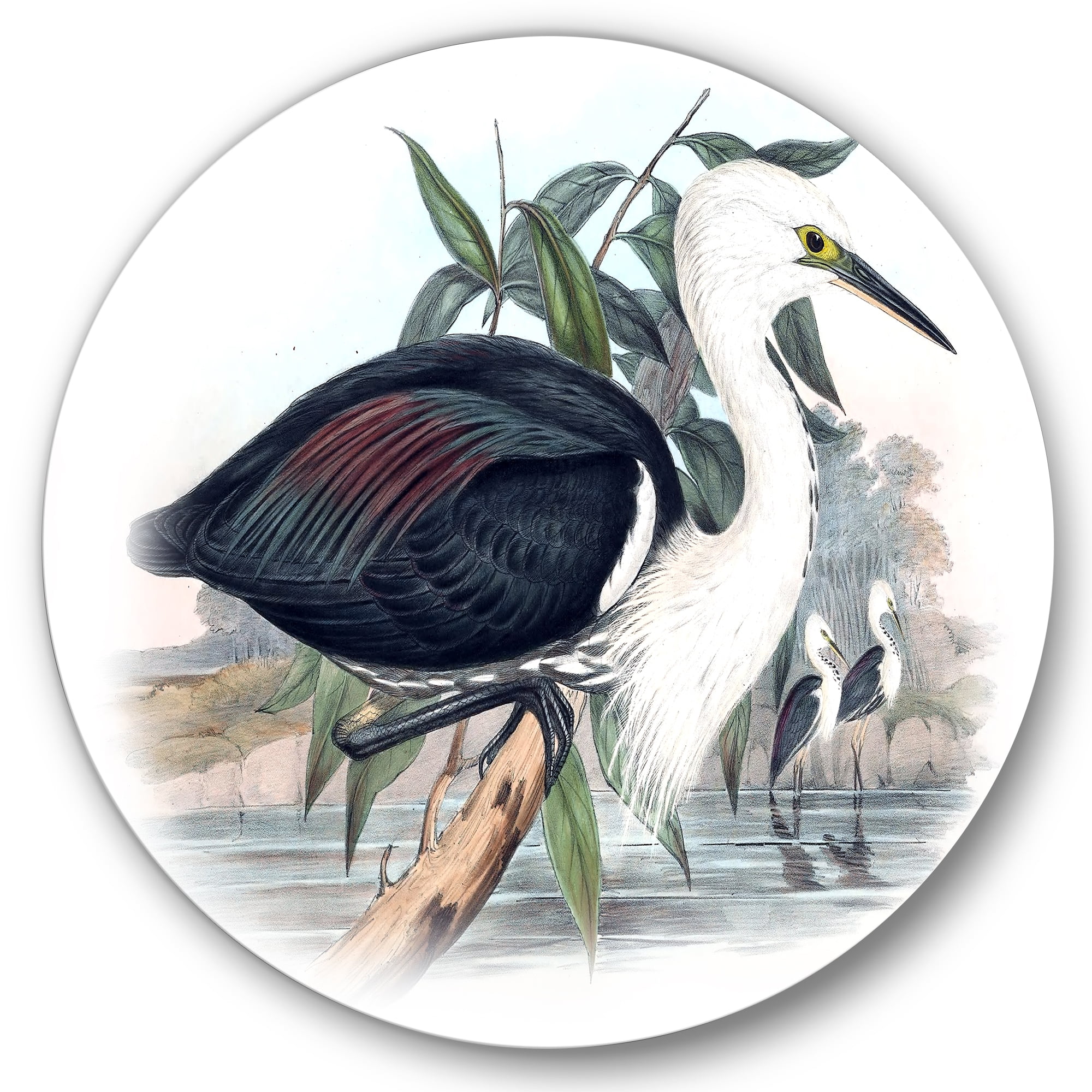 Designart 'Ancient Birds Of Australia' Traditional Circle Metal Wall Art 23x23 - Disc of 23