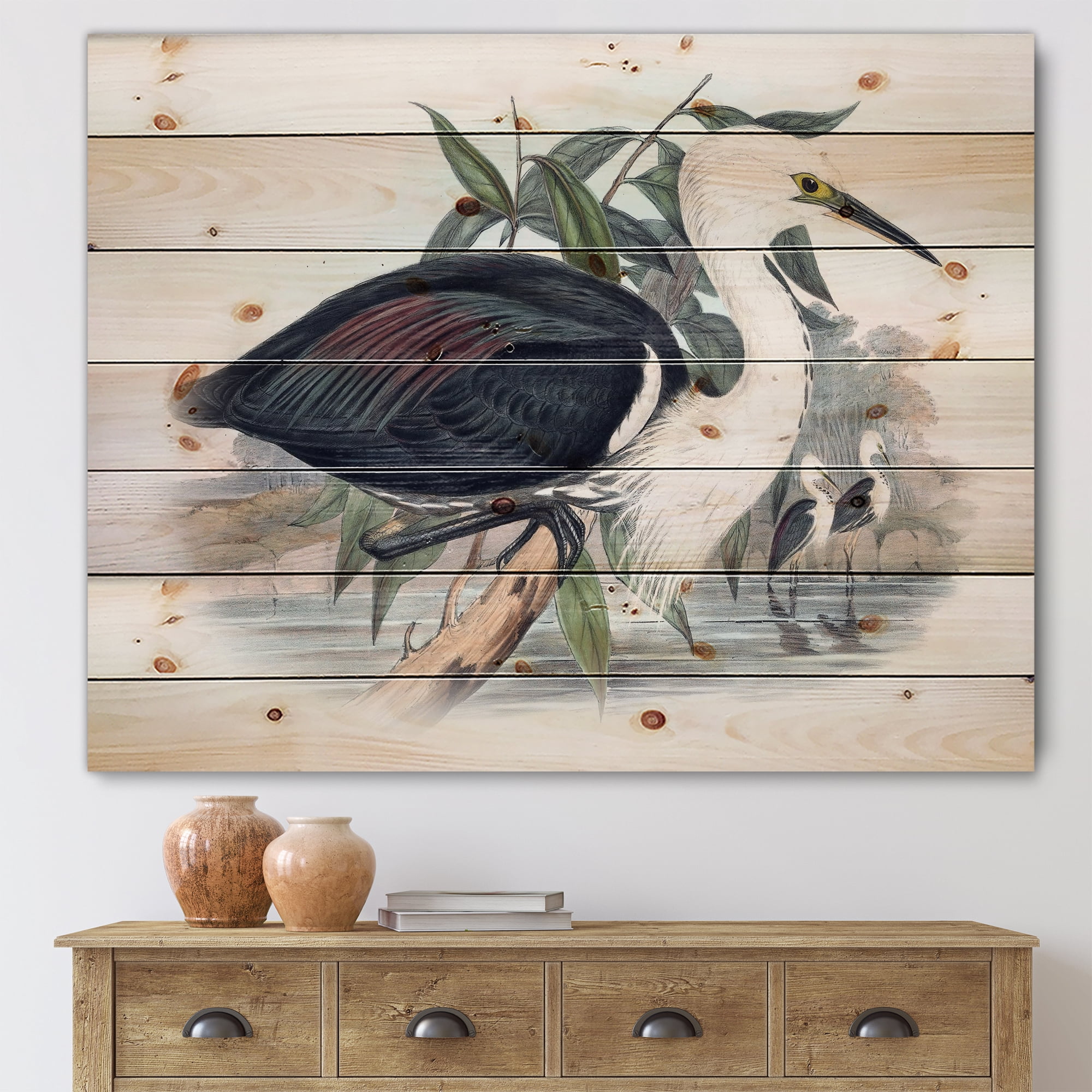 Designart 'Ancient Birds Of Australia' Traditional Print on Natural Pine Wood