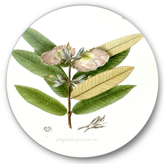Designart 'Ancient Blossoming Flower II' Traditional Circle Metal Wall Art 29x29 - Disc of 29