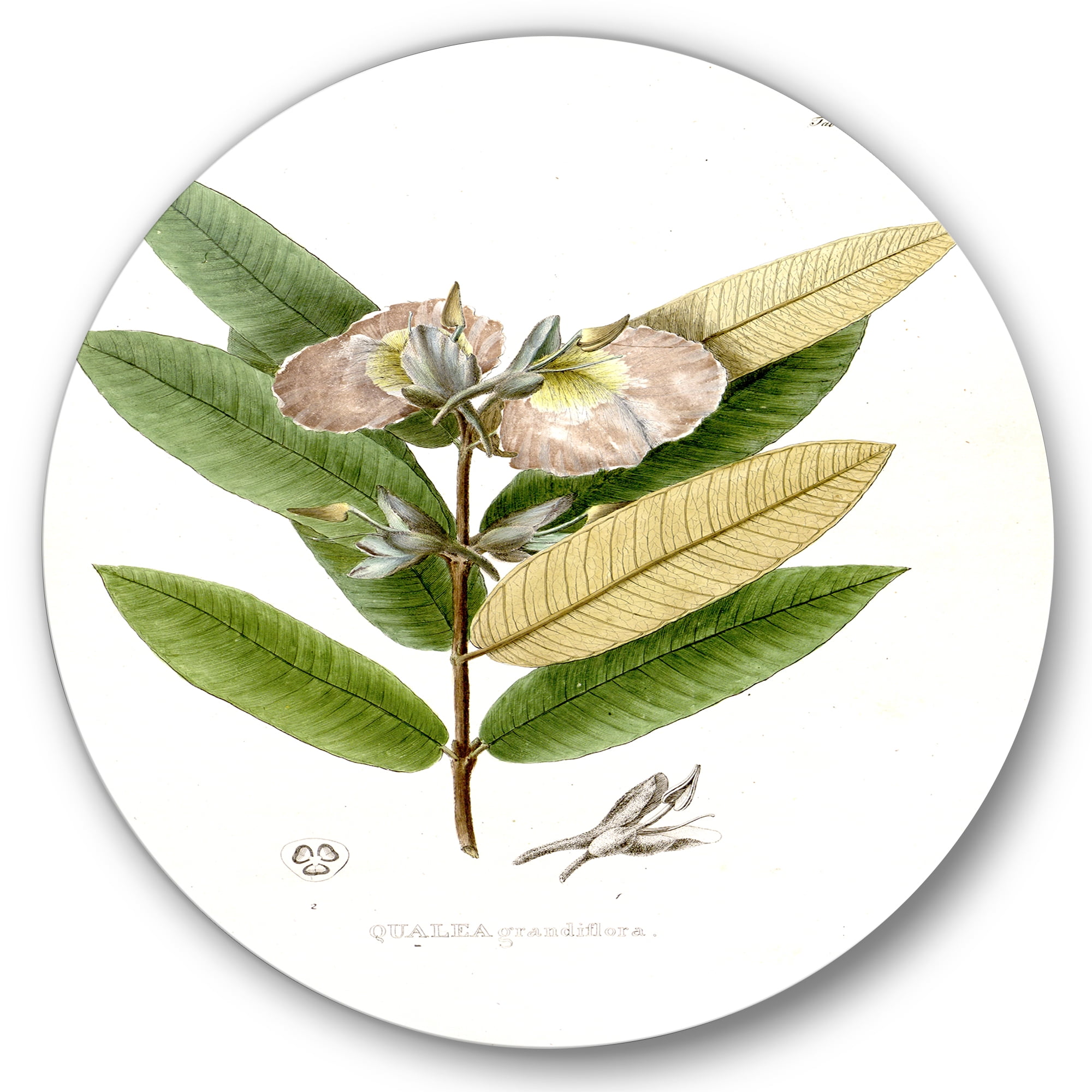 Designart 'Ancient Blossoming Flower II' Traditional Circle Metal Wall Art 36x36 - Disc of 36