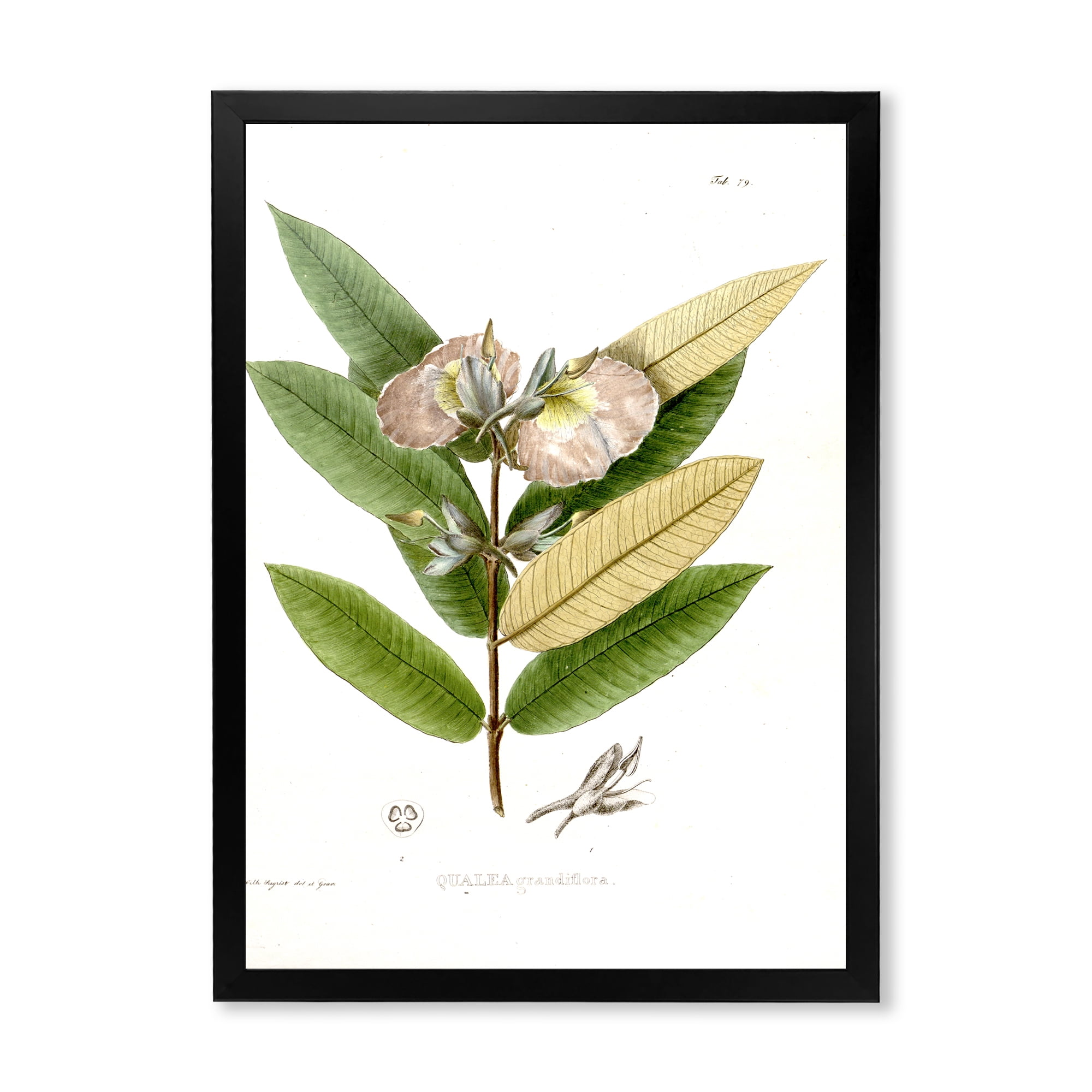 Designart 'Ancient Blossoming Flower II' Traditional Framed Art Print