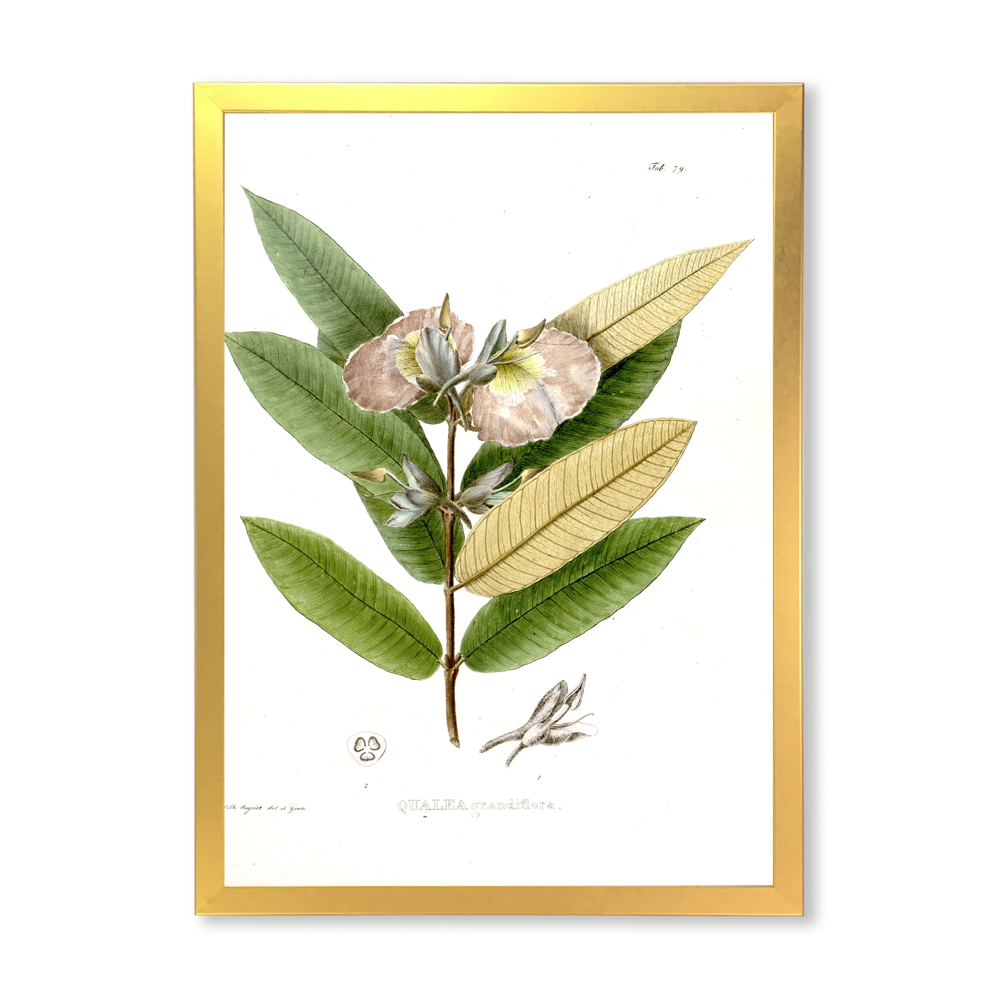 Designart 'Ancient Blossoming Flower II' Traditional Framed Art Print