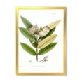 thumbnail image 1 of Designart 'Ancient Blossoming Flower II' Traditional Framed Art Print, 1 of 4
