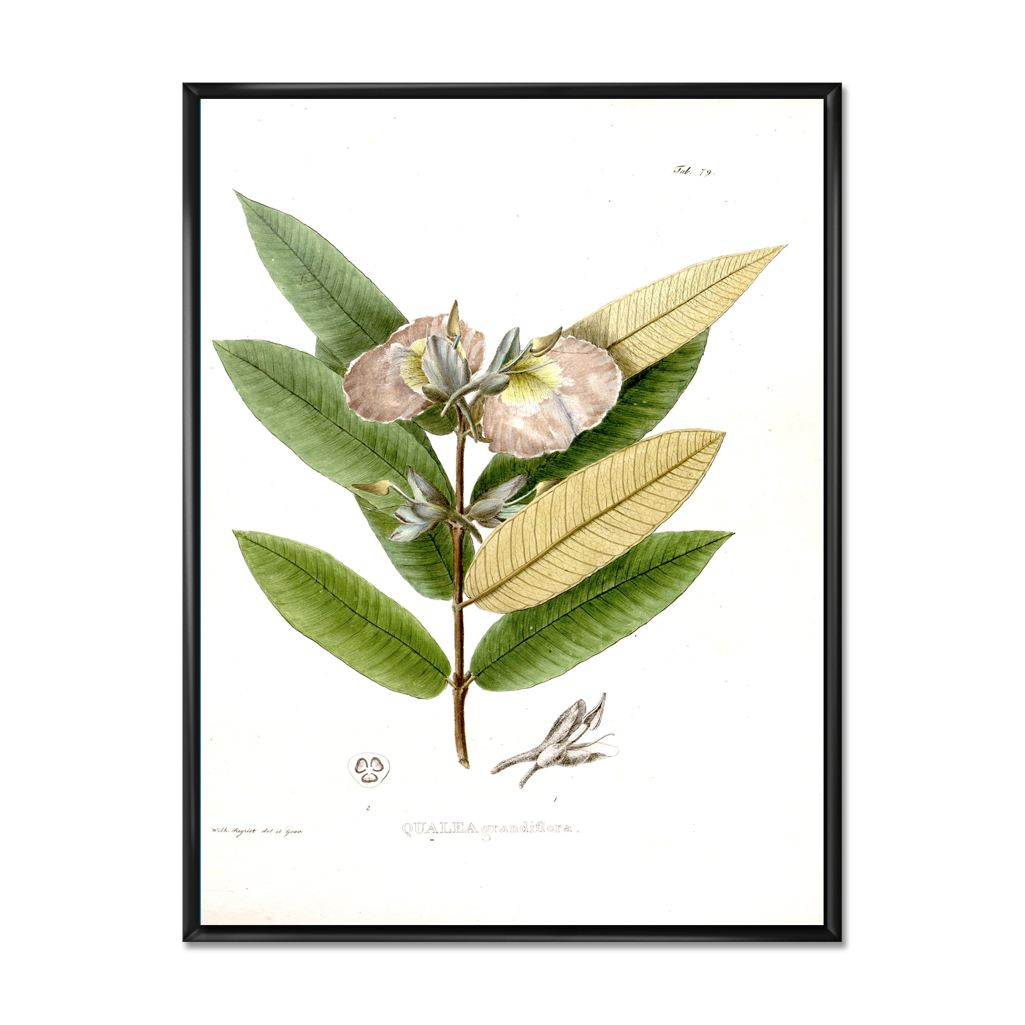 Designart 'Ancient Blossoming Flower II' Traditional Framed Canvas Wall Art Print