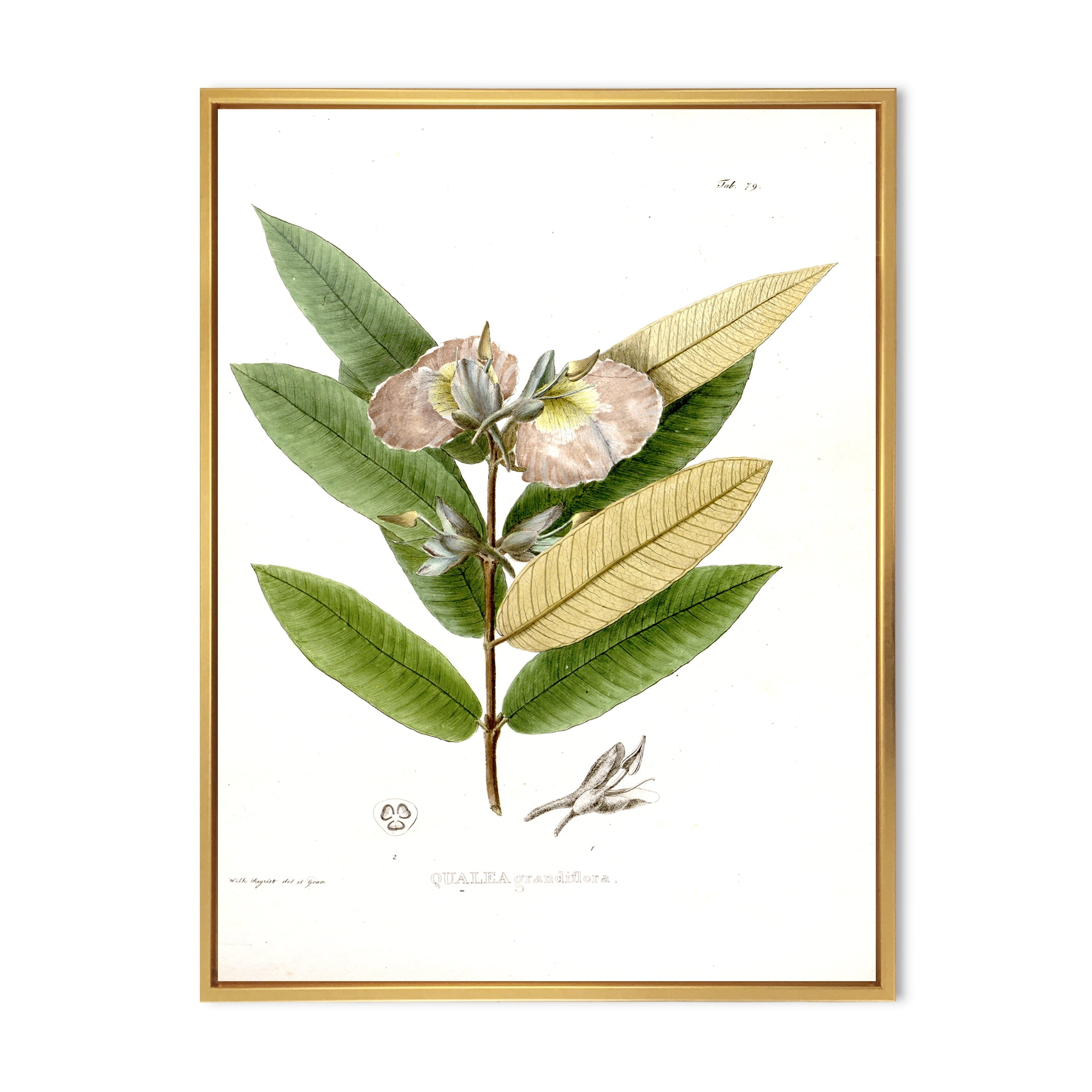 Designart 'Ancient Blossoming Flower II' Traditional Framed Canvas Wall Art Print