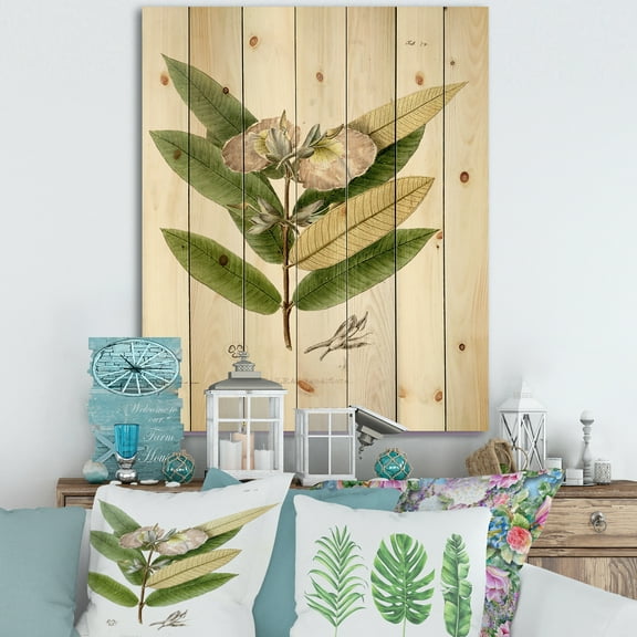 Designart 'Ancient Blossoming Flower II' Traditional Print on Natural Pine Wood