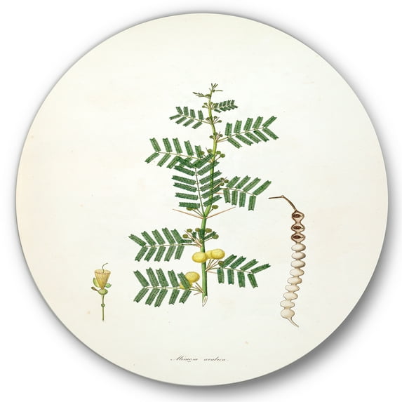 Designart 'Ancient Blossoming Flower III' Farmhouse Circle Metal Wall Art 11x11 - Disc of 11