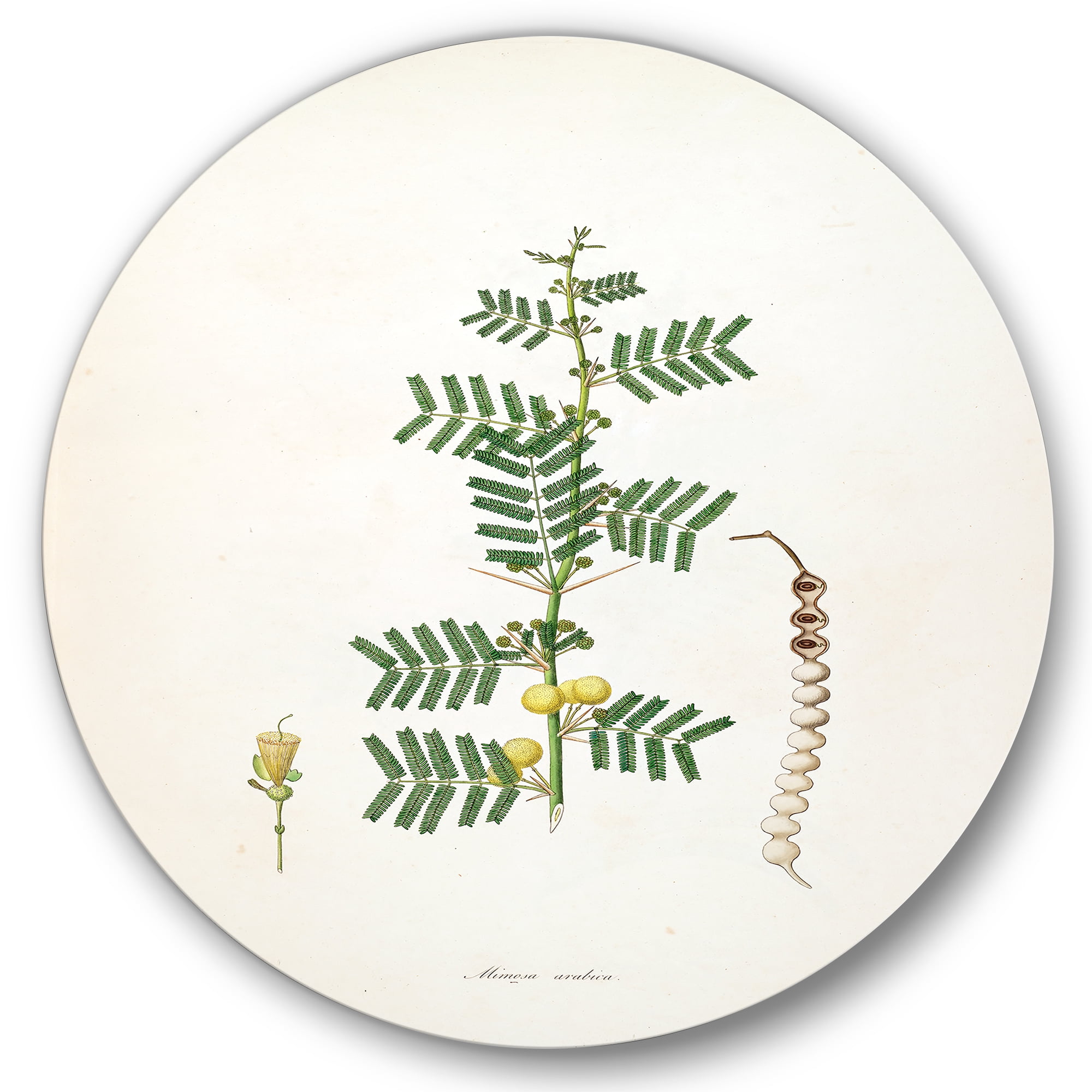 Designart 'Ancient Blossoming Flower III' Farmhouse Circle Metal Wall Art 29x29 - Disc of 29