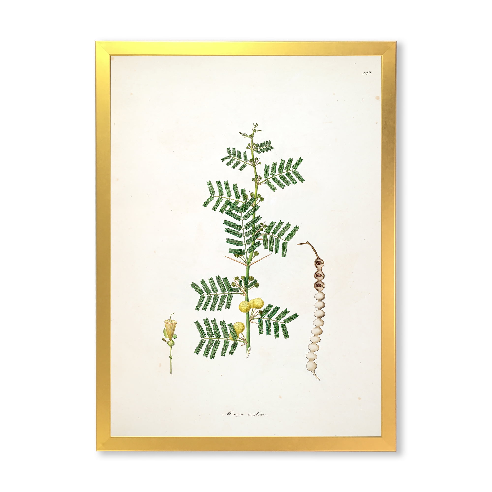 Designart 'Ancient Blossoming Flower III' Farmhouse Framed Art Print