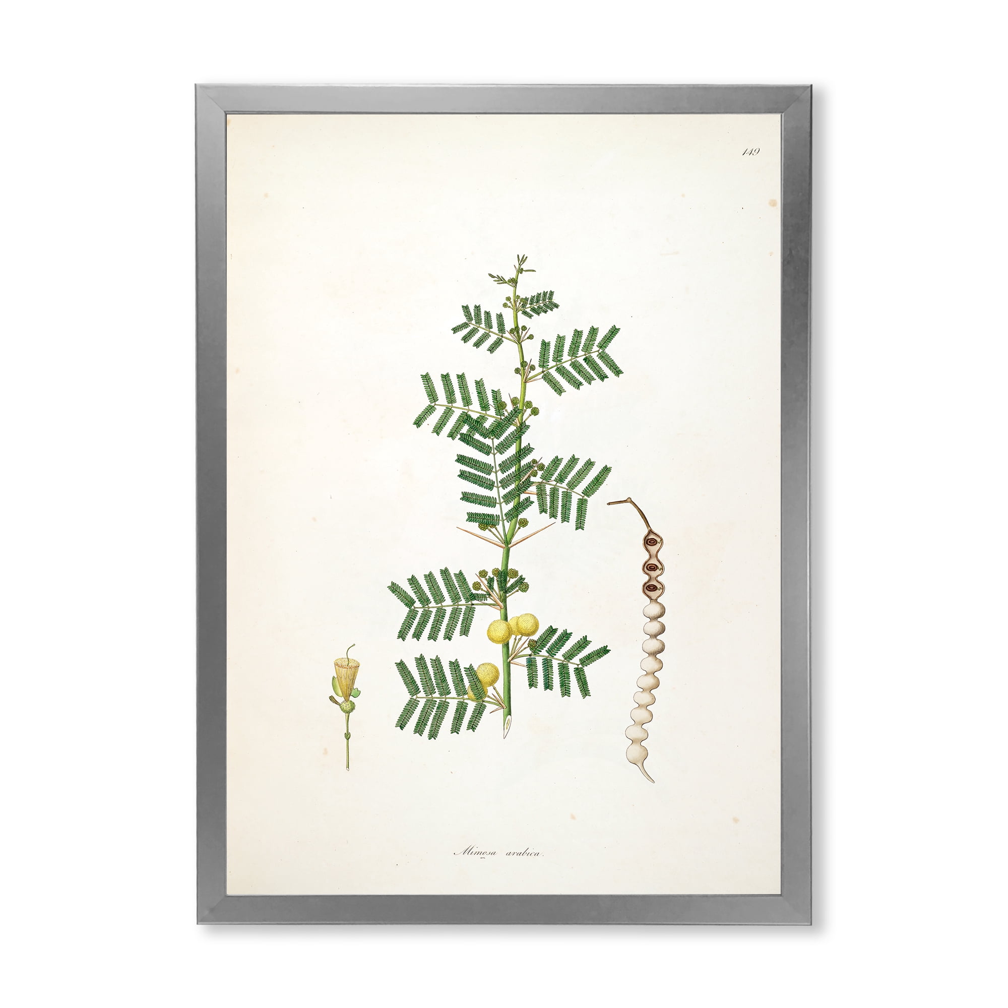 Designart 'Ancient Blossoming Flower III' Farmhouse Framed Art Print
