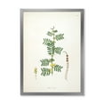thumbnail image 1 of Designart 'Ancient Blossoming Flower III' Farmhouse Framed Art Print, 1 of 4
