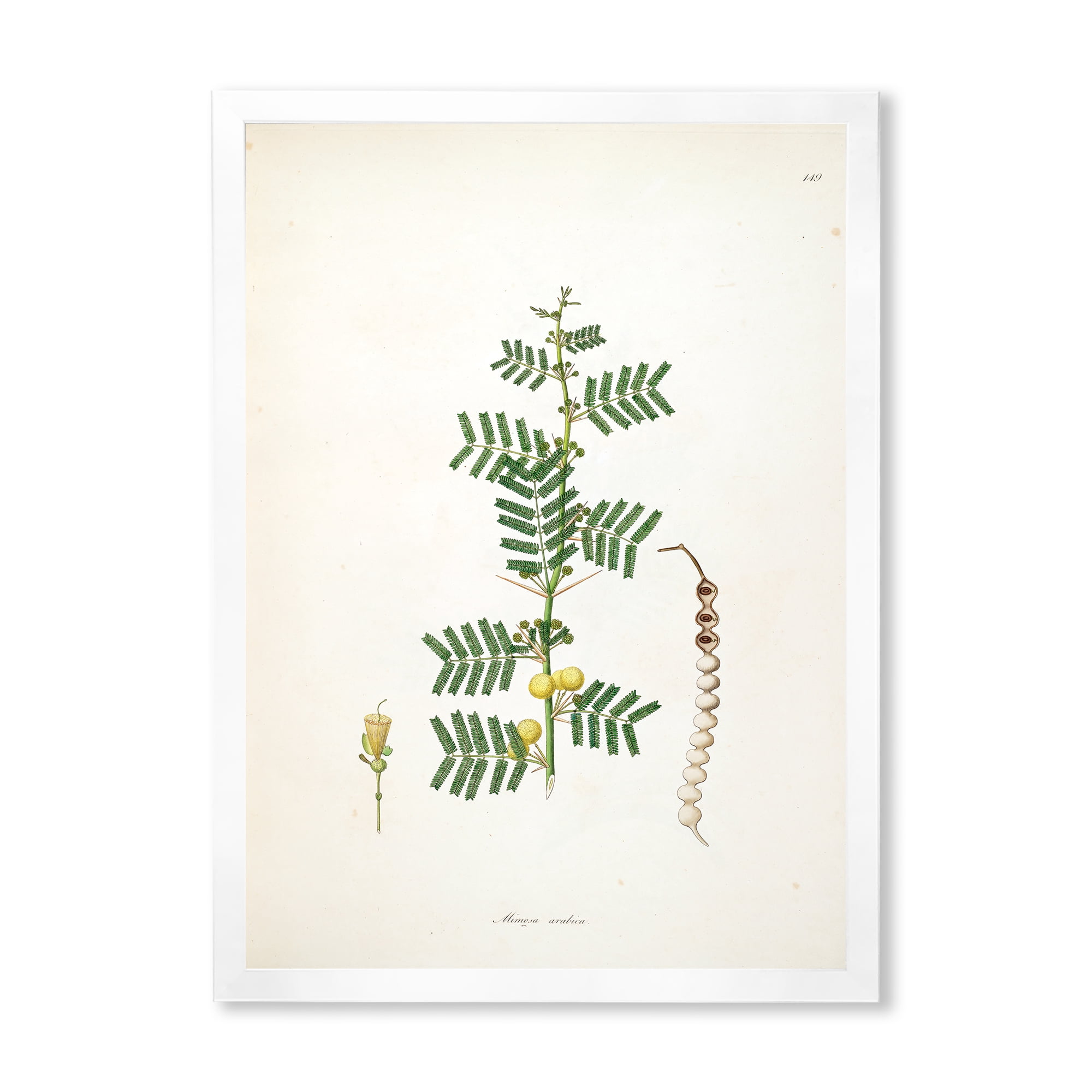Designart 'Ancient Blossoming Flower III' Farmhouse Framed Art Print