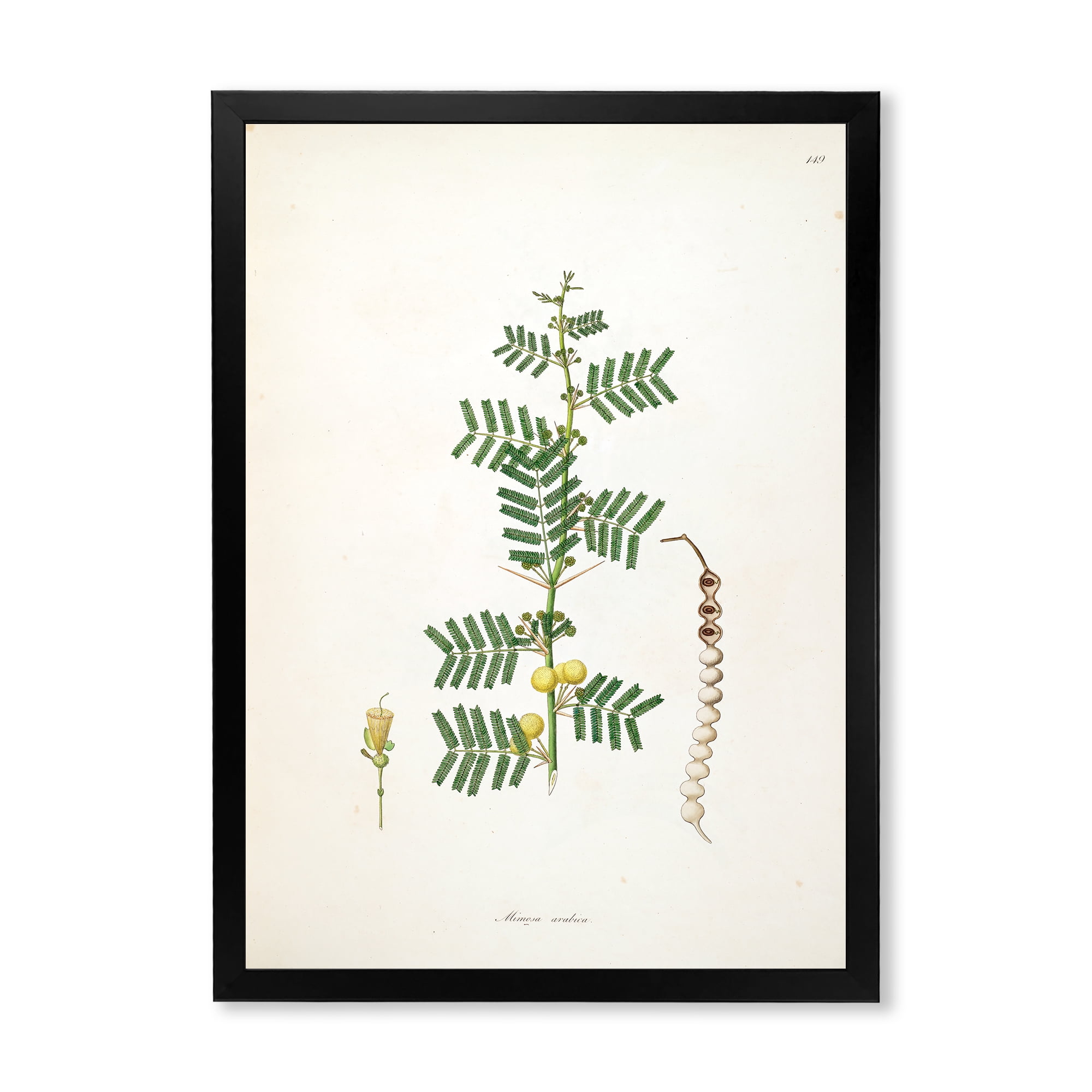 Designart 'Ancient Blossoming Flower III' Farmhouse Framed Art Print