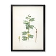 thumbnail image 1 of Designart 'Ancient Blossoming Flower III' Farmhouse Framed Art Print, 1 of 4