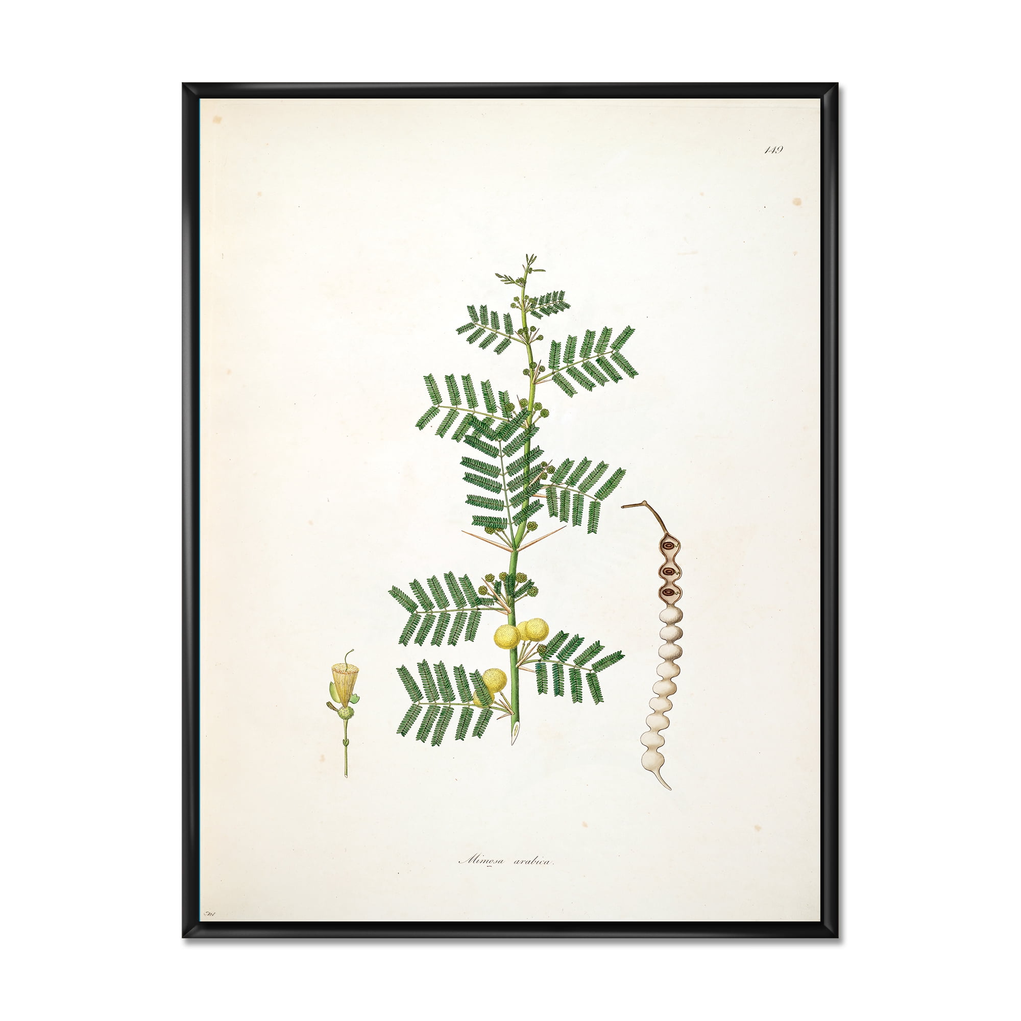 Designart 'Ancient Blossoming Flower III' Farmhouse Framed Canvas Wall Art Print