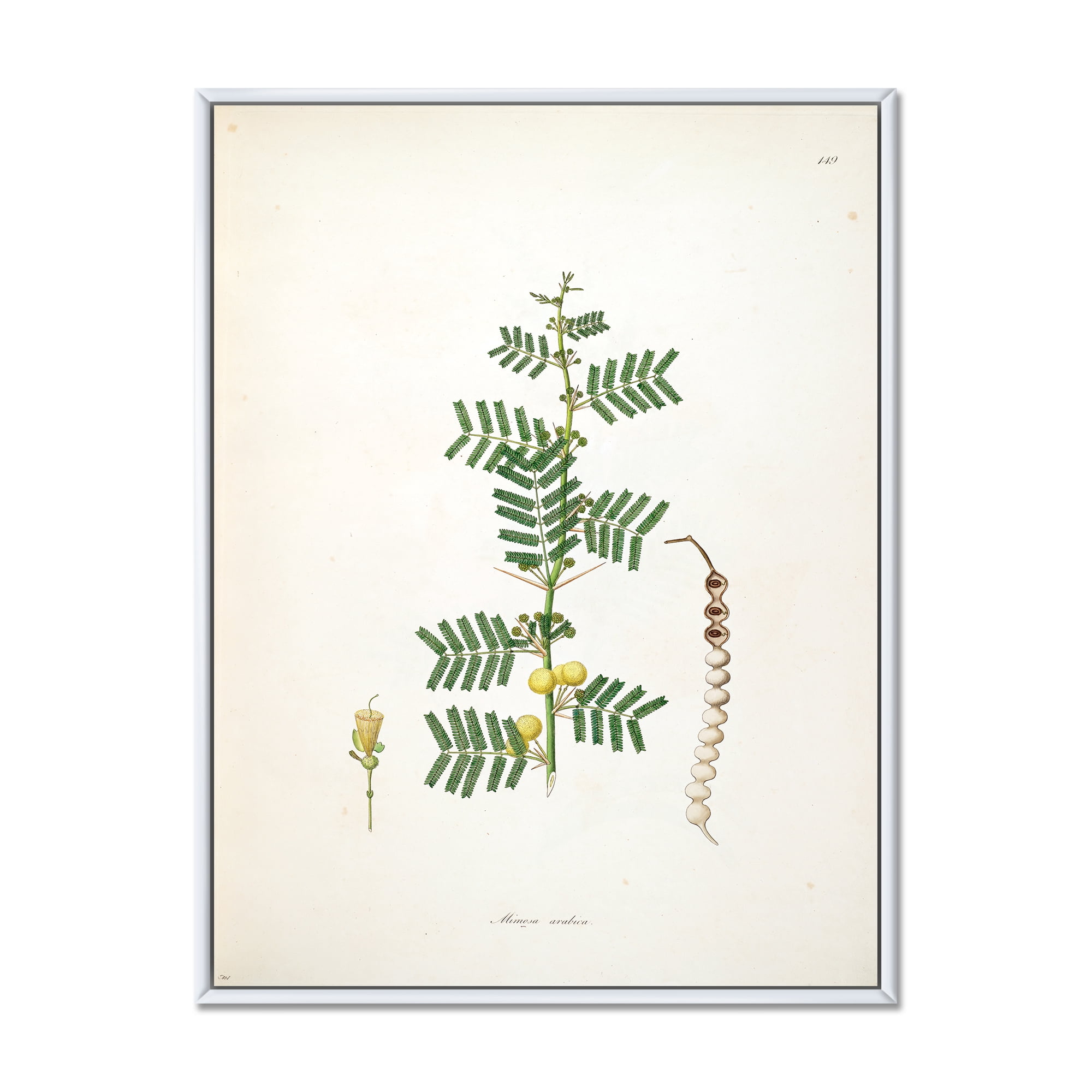 Designart 'Ancient Blossoming Flower III' Farmhouse Framed Canvas Wall Art Print