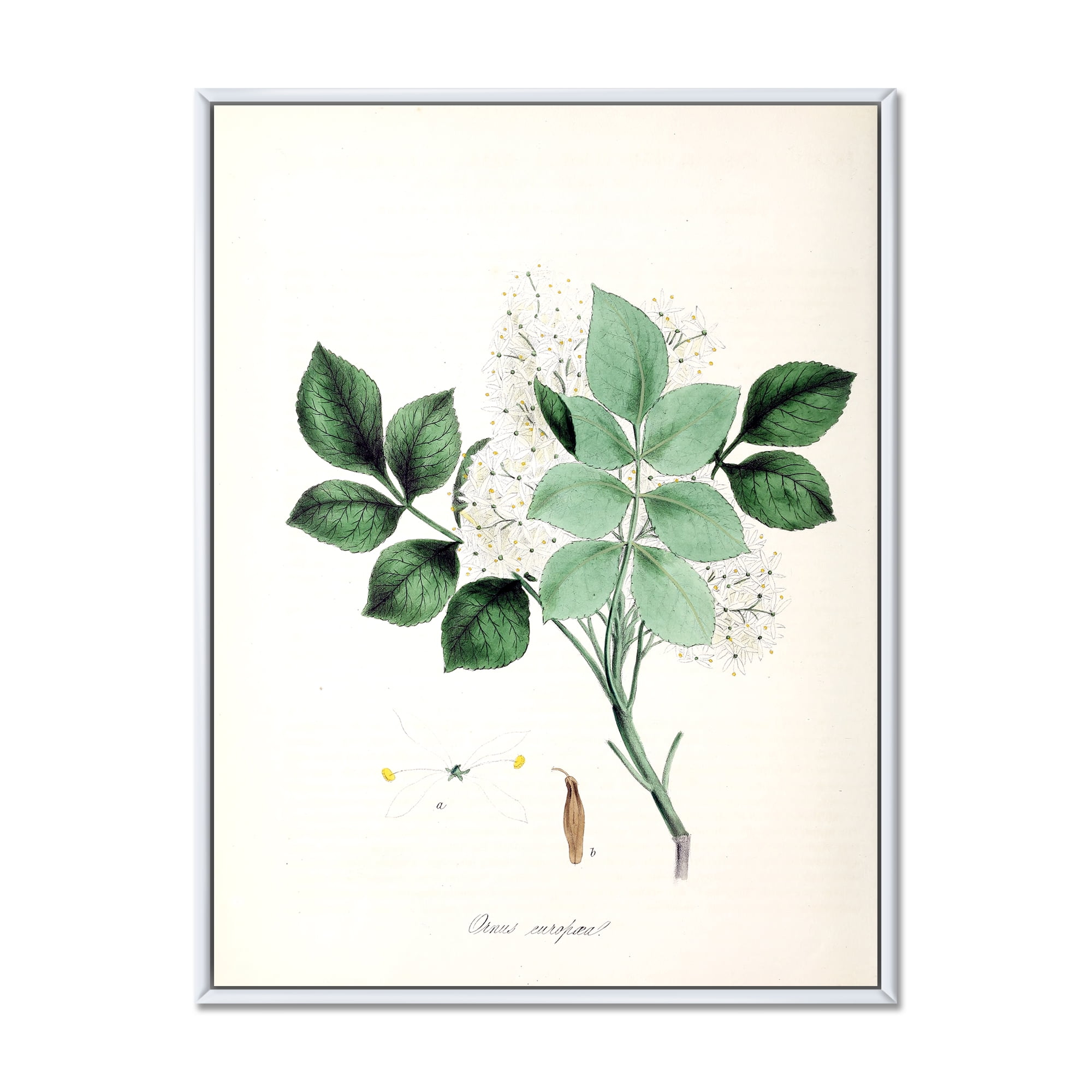 Designart 'Ancient Blossoming Flower IV' Farmhouse Framed Canvas Wall Art Print